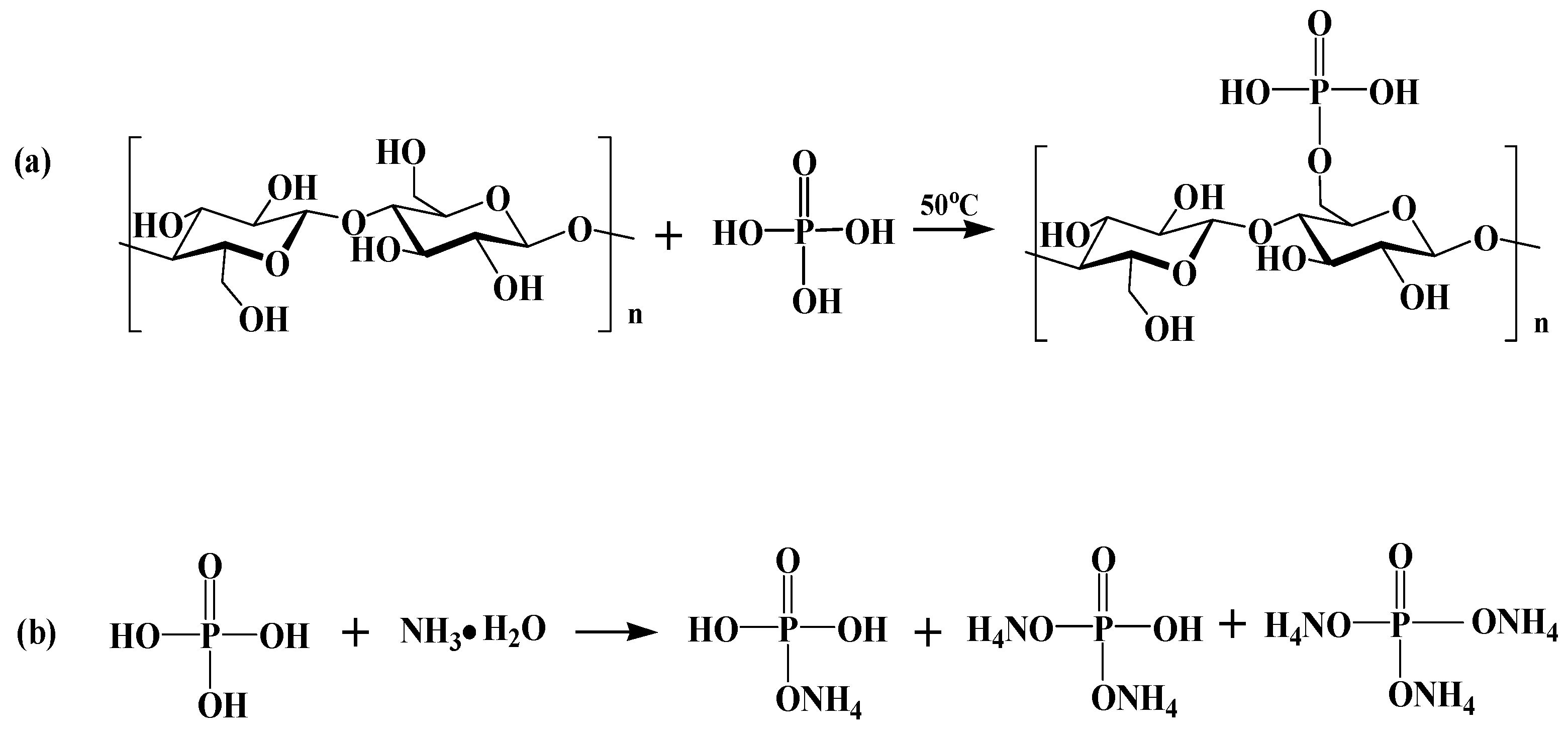 Polymers 12 00336 sch001