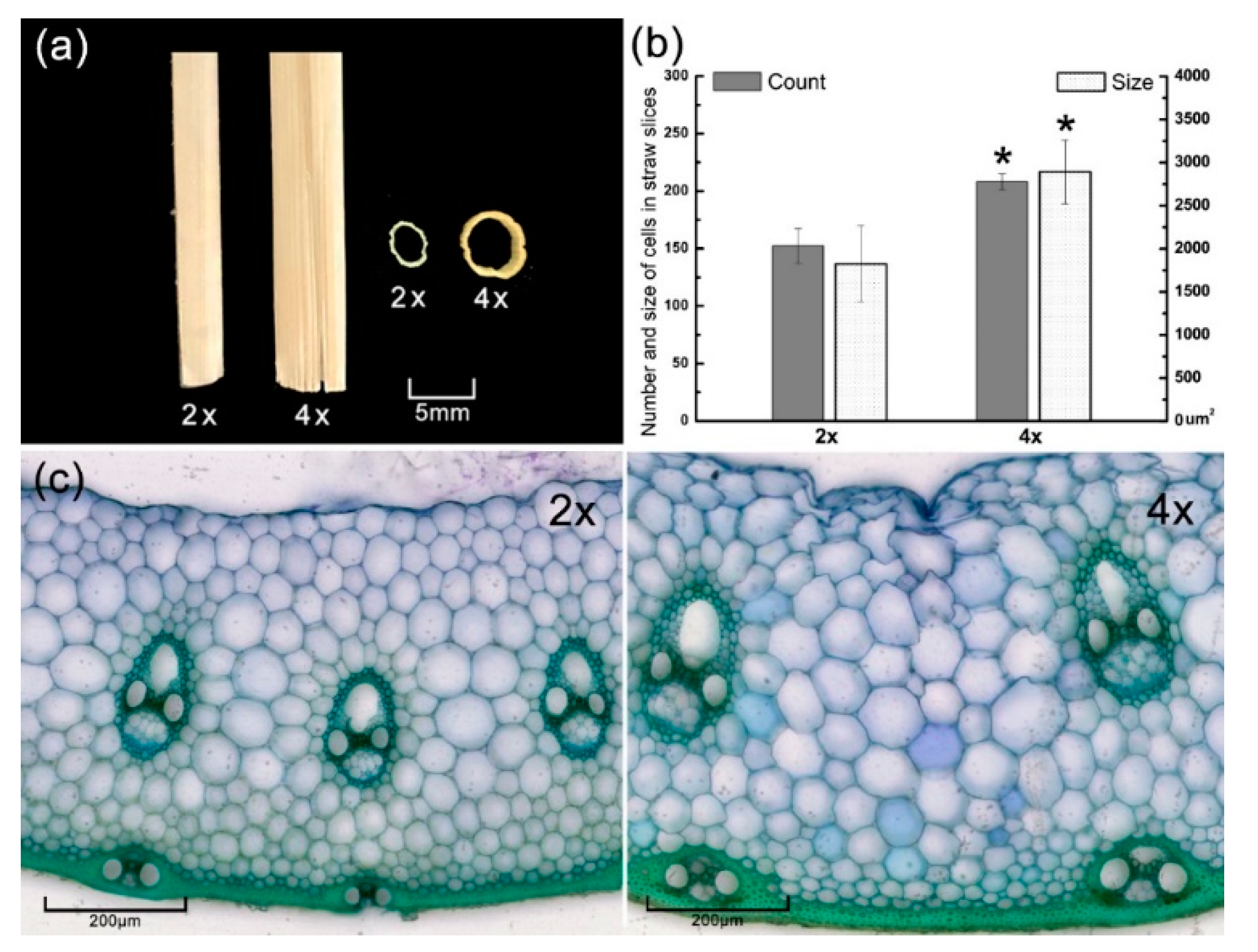 Polymers 12 00340 g002 Polymers 12 00340 g002