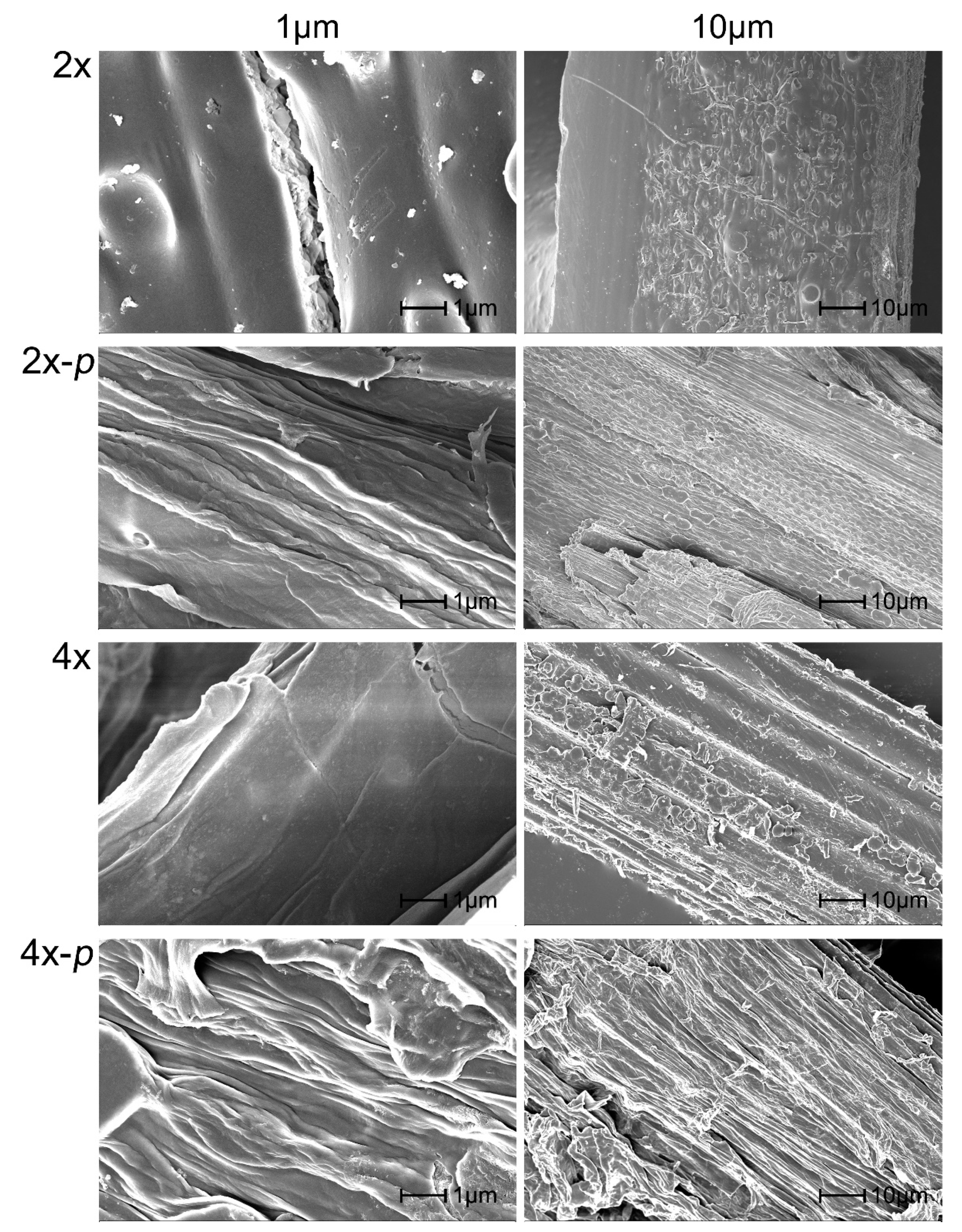 Polymers 12 00340 g005 Polymers 12 00340 g005