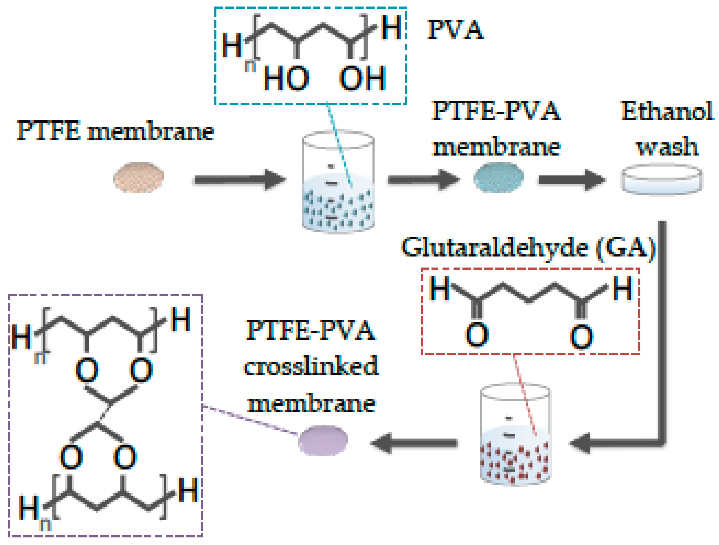 Polymers 12 00345 g001