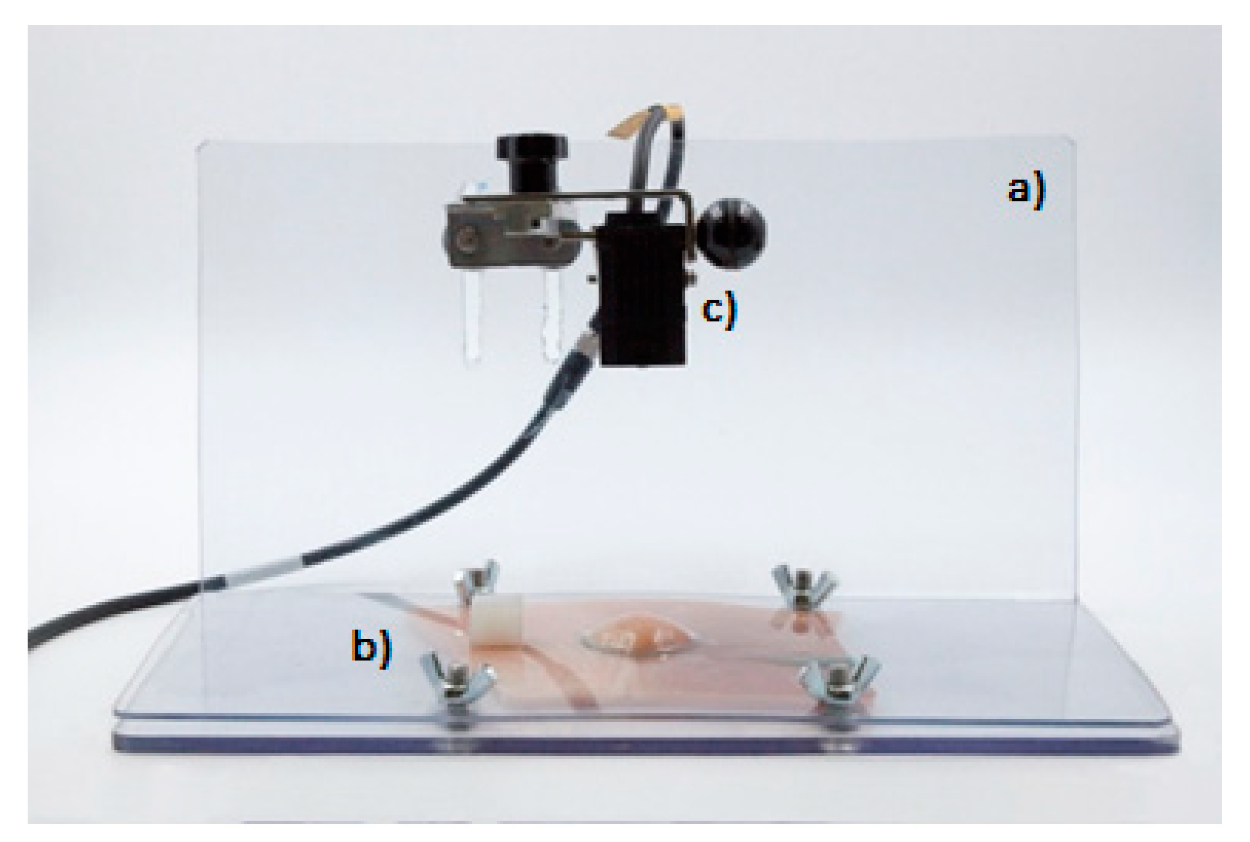 Polymers 12 00346 g003 Polymers 12 00346 g003