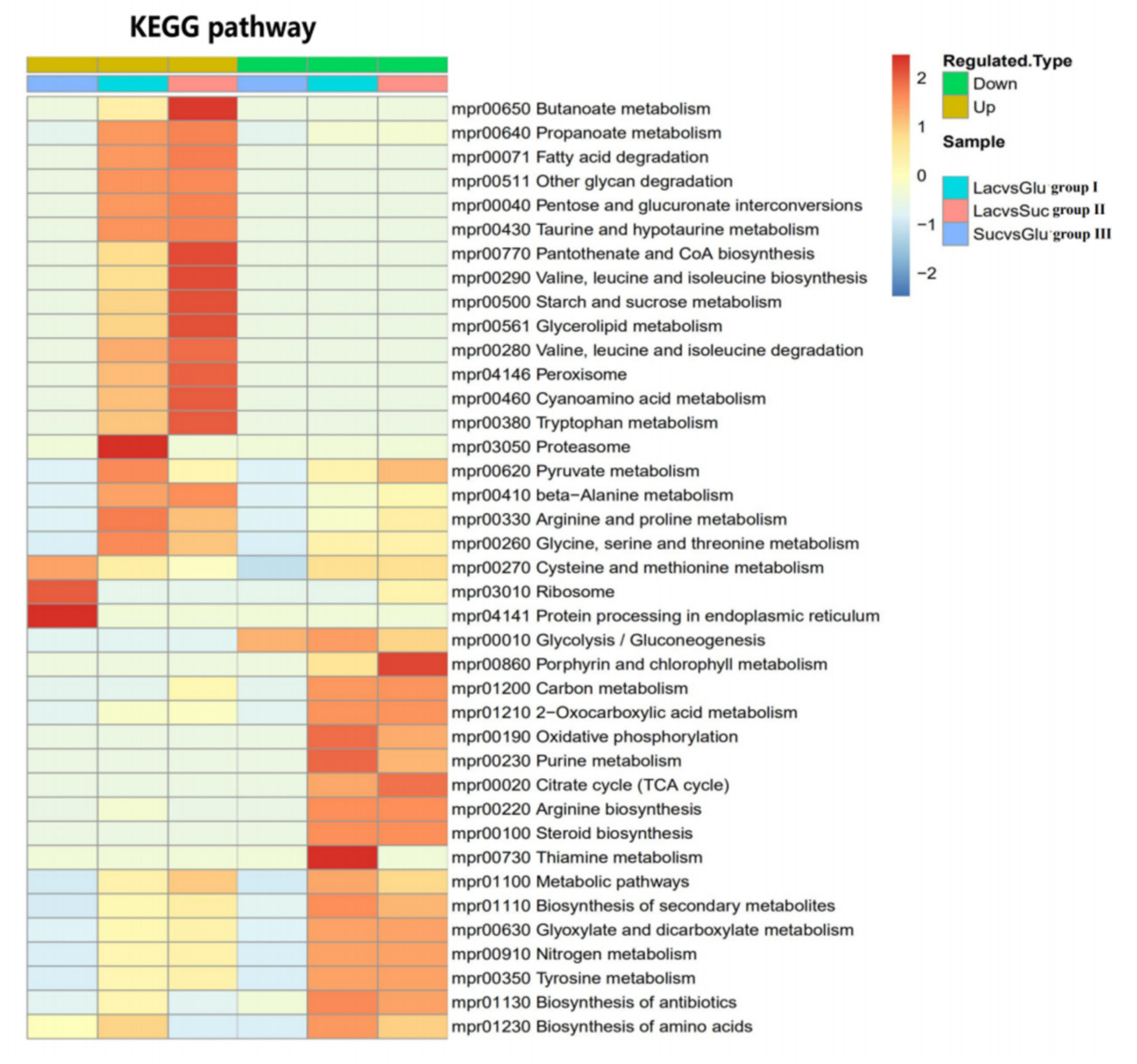 Polymers 12 00348 g007 Polymers 12 00348 g007
