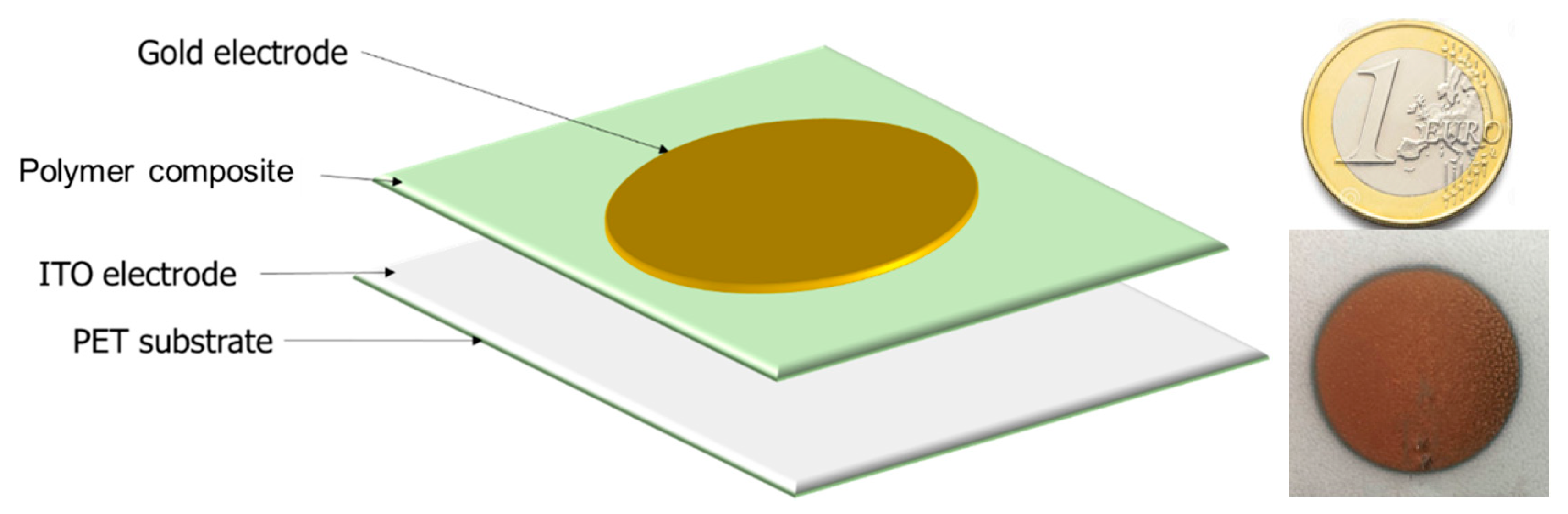 Polymers 12 00349 g001 Polymers 12 00349 g001