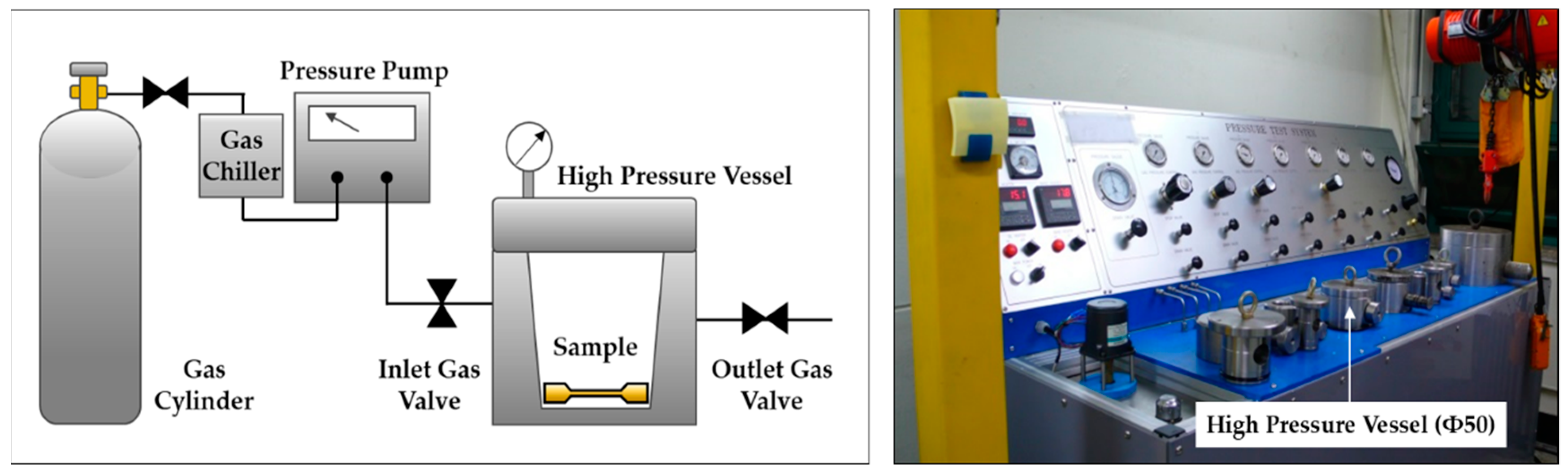 Polymers 12 00351 g001