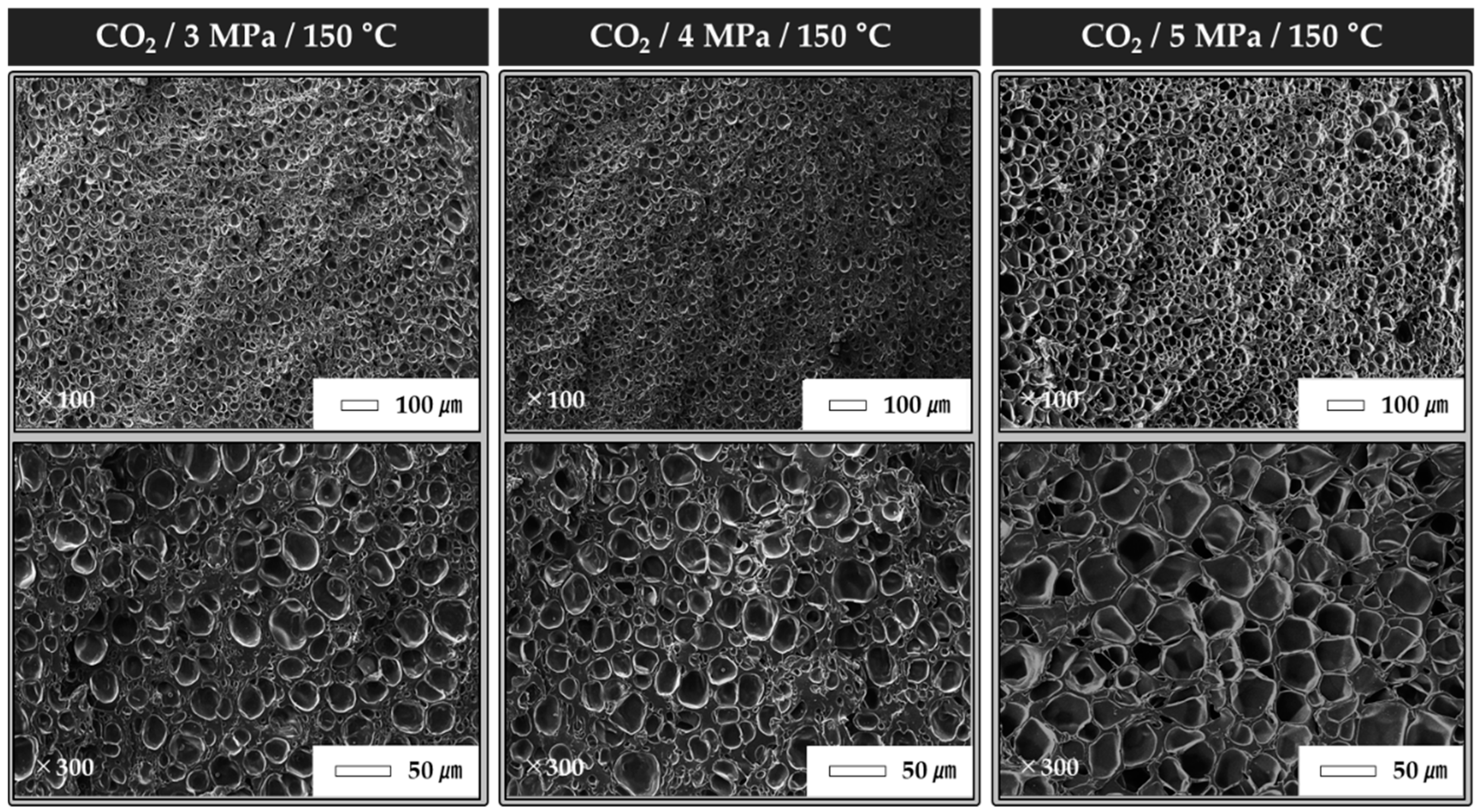 Polymers 12 00351 g006