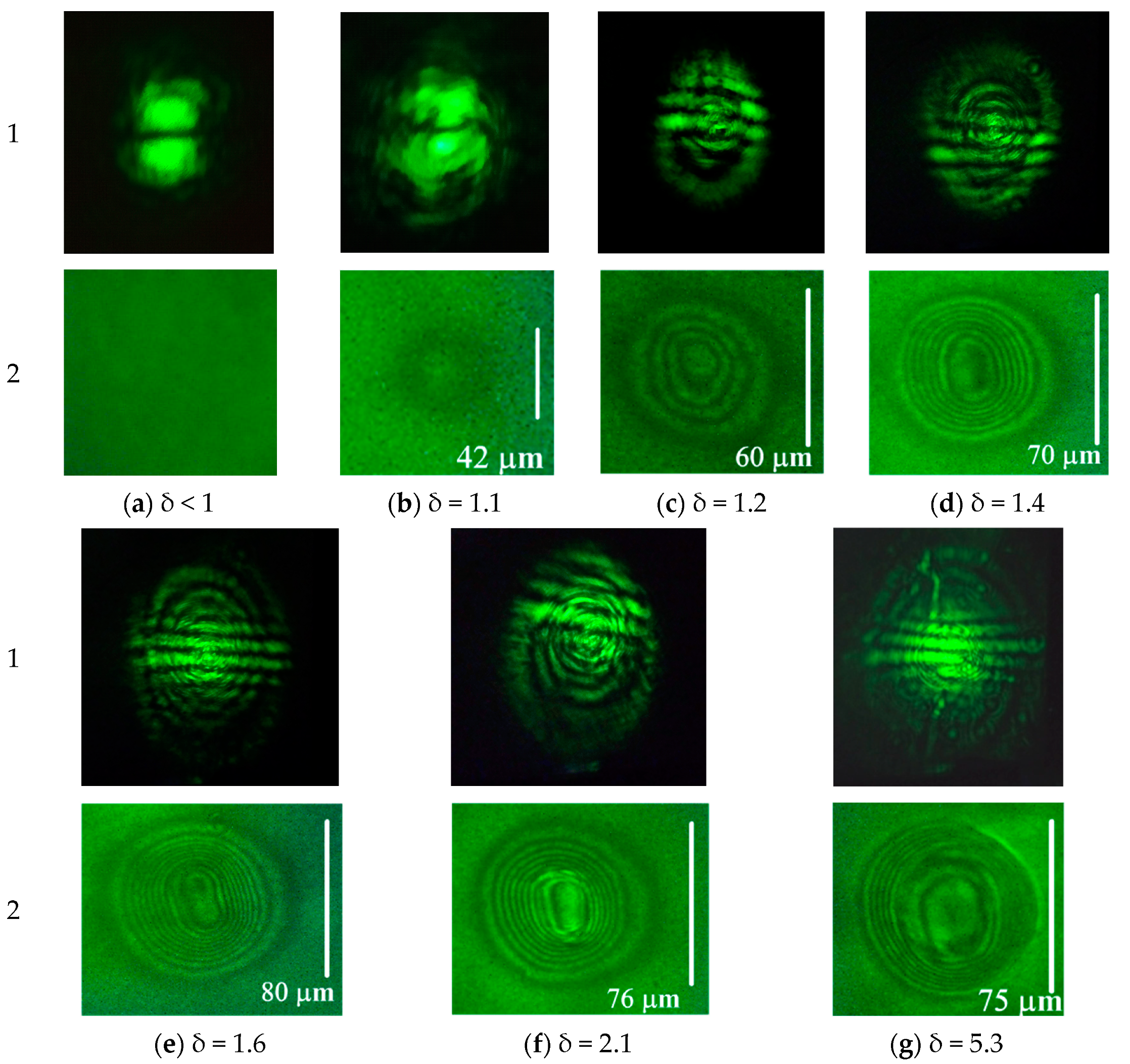 Polymers 12 00356 g002
