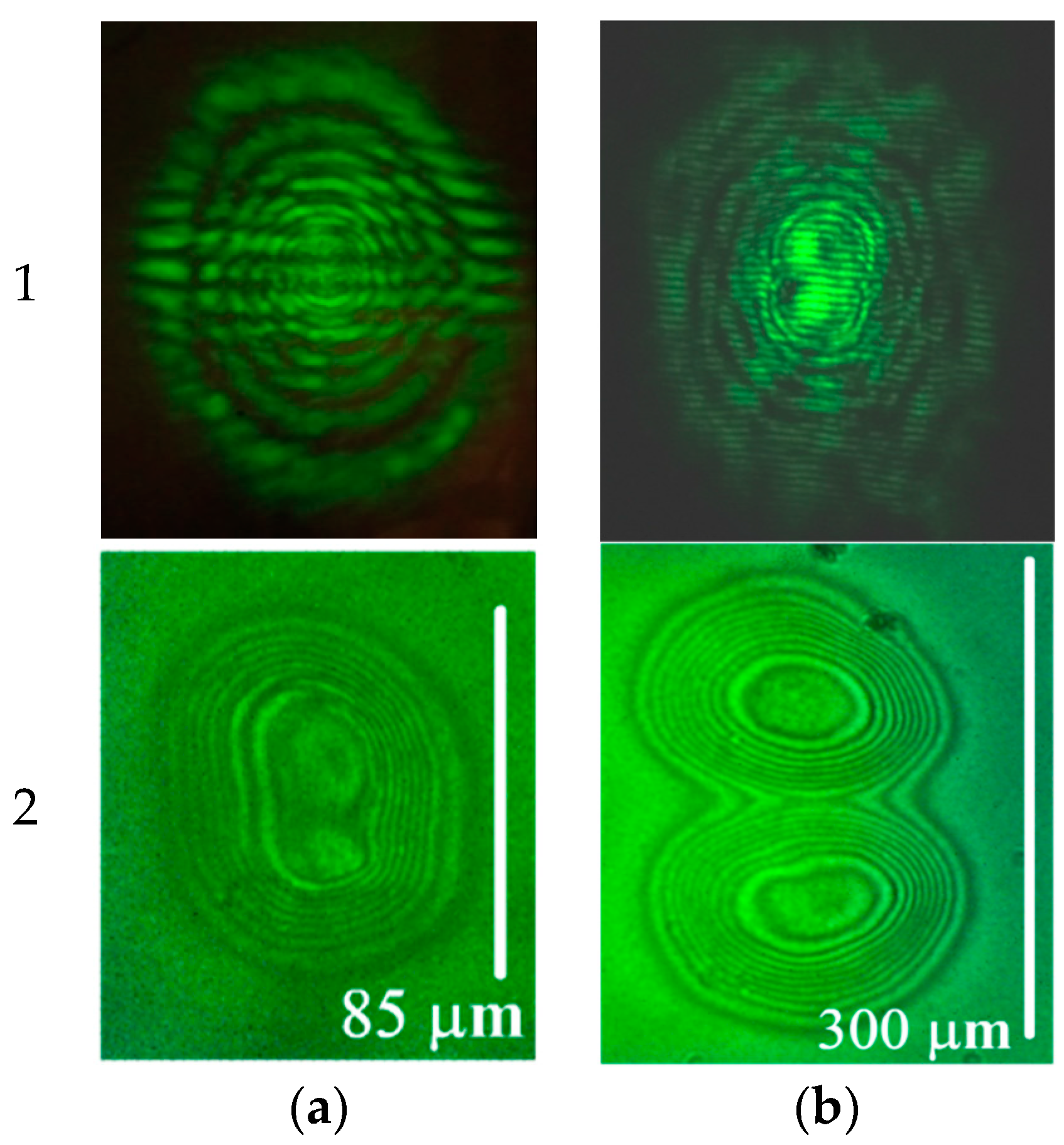 Polymers 12 00356 g003