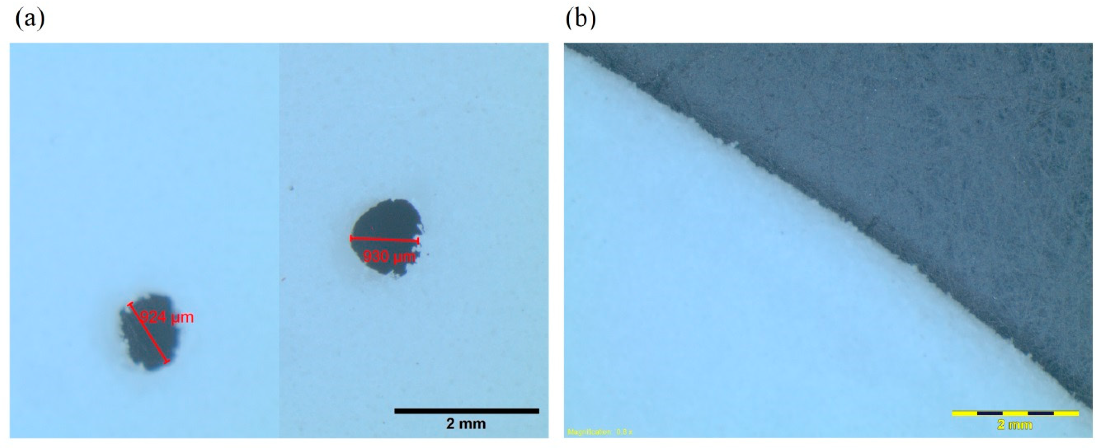Polymers 12 00360 g006