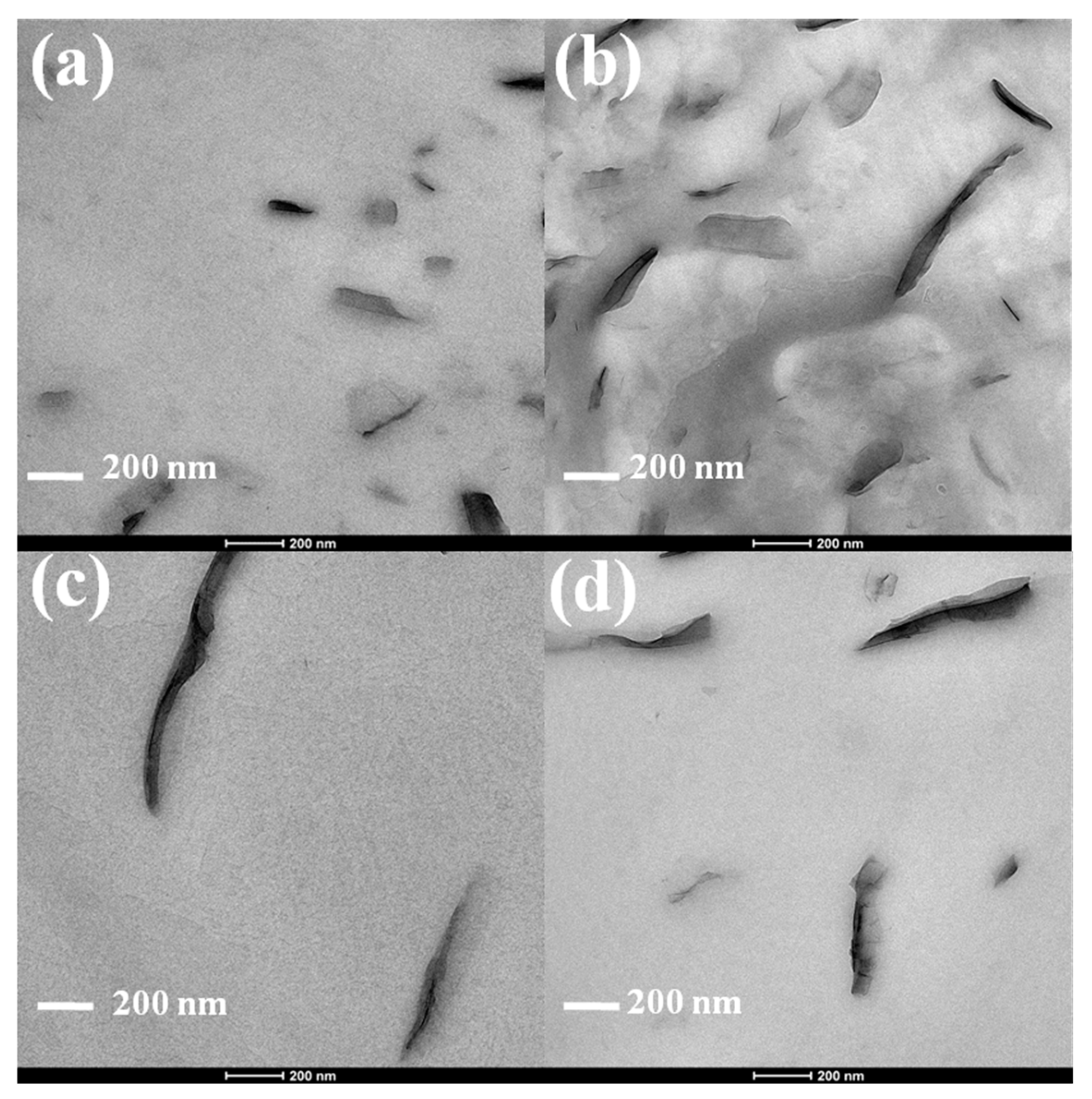 Polymers 12 00364 g002