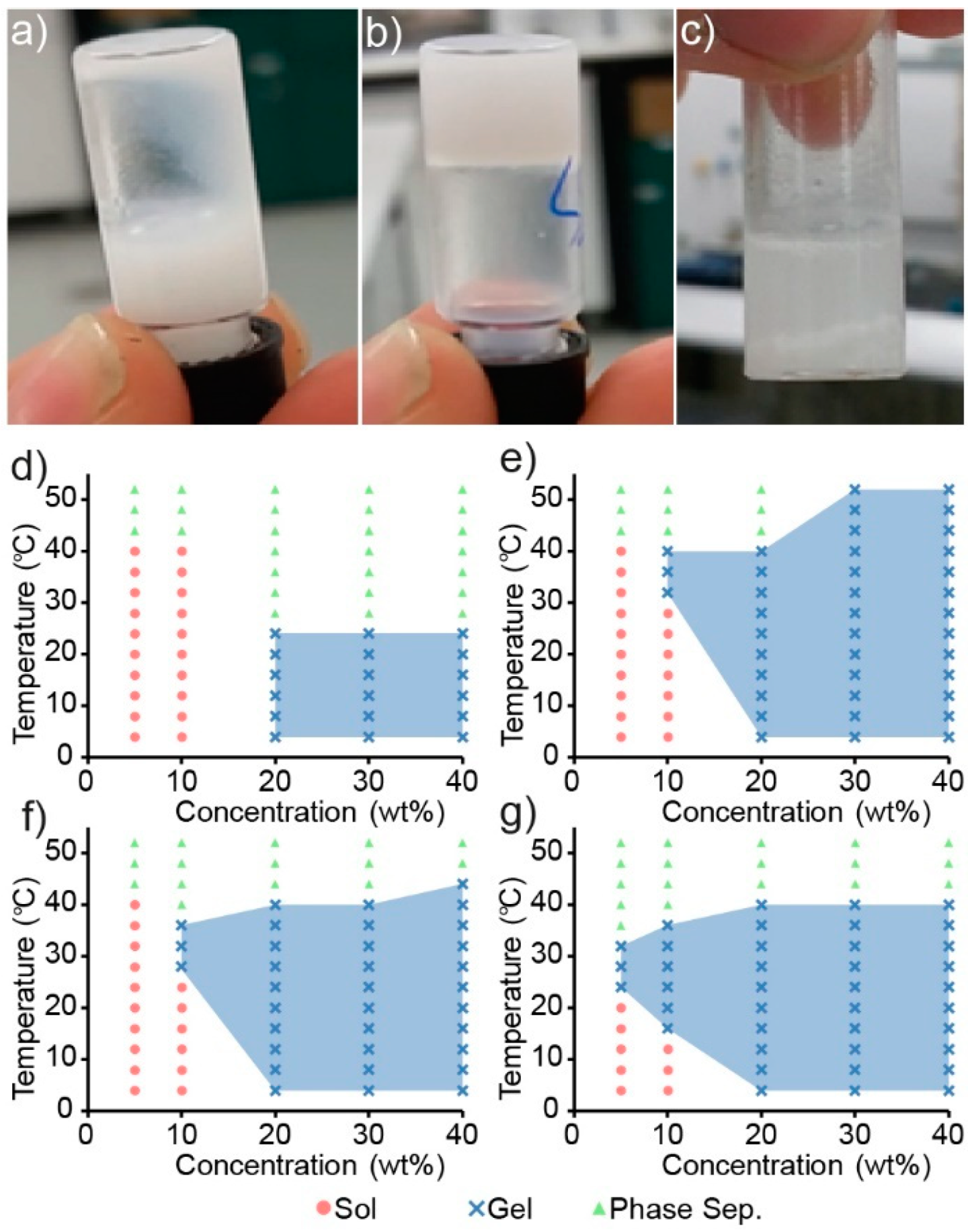 Polymers 12 00367 g004