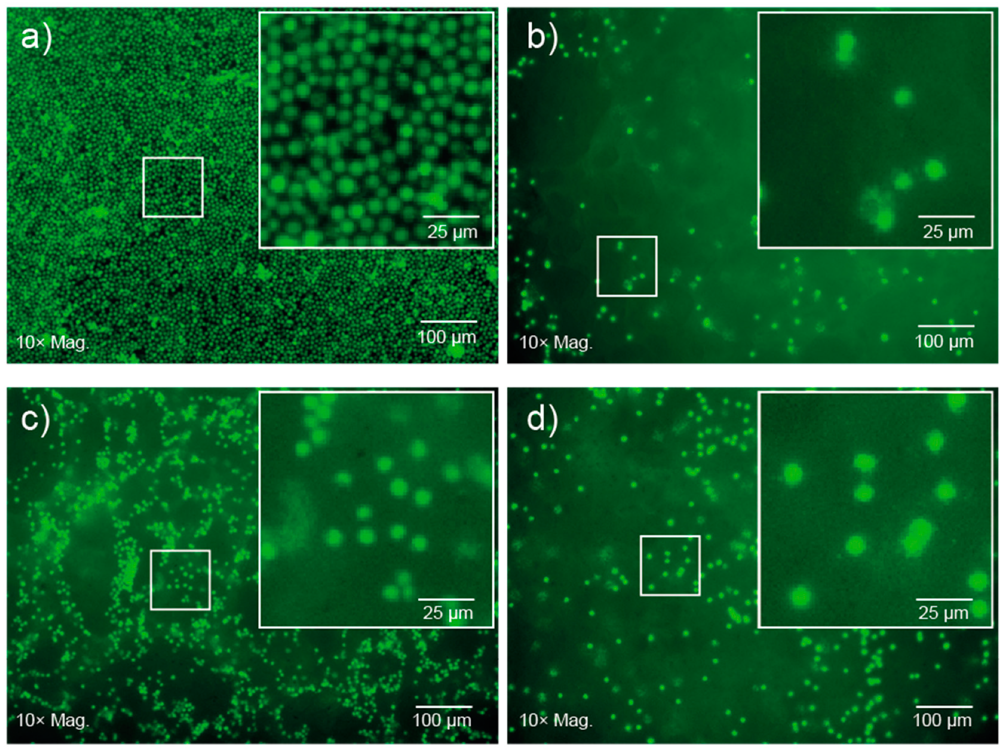 Polymers 12 00367 g006