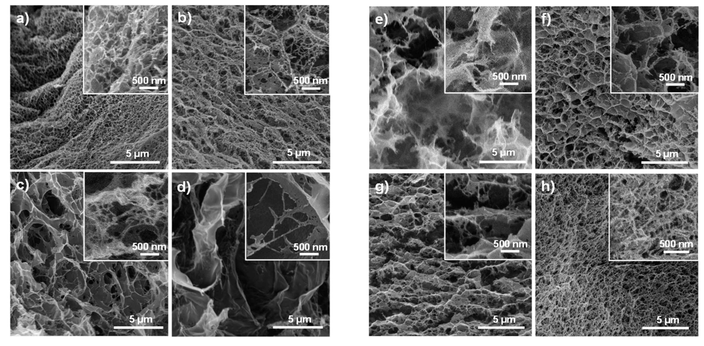Polymers 12 00373 g008