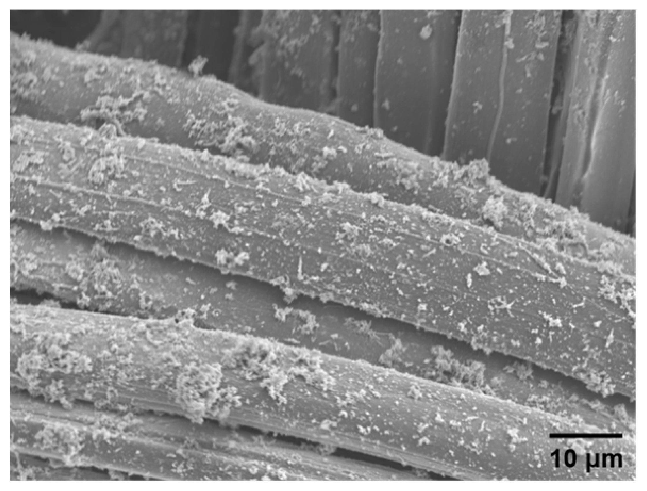 Polymers 12 00375 g005 Polymers 12 00375 g005