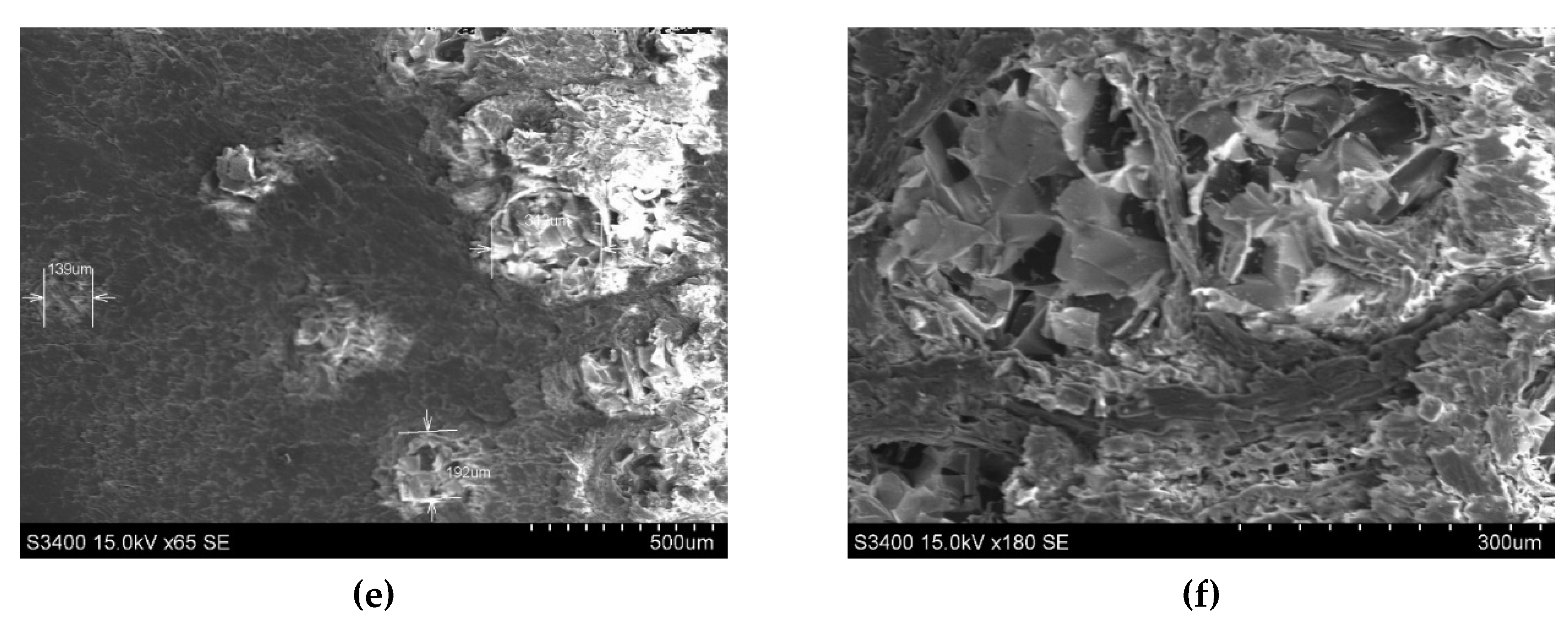 Polymers 12 00377 g016b Polymers 12 00377 g016b