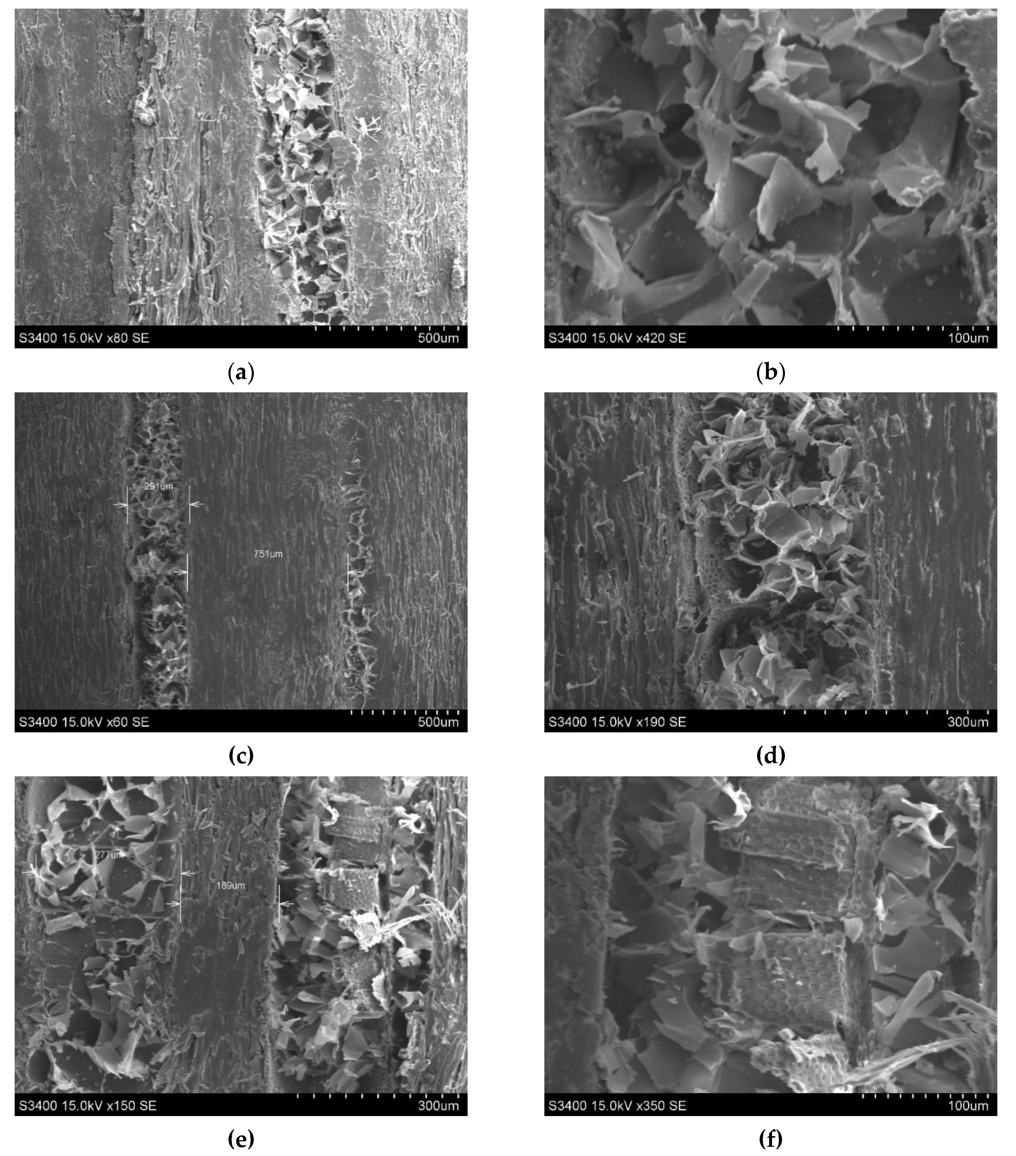 Polymers 12 00377 g017 Polymers 12 00377 g017