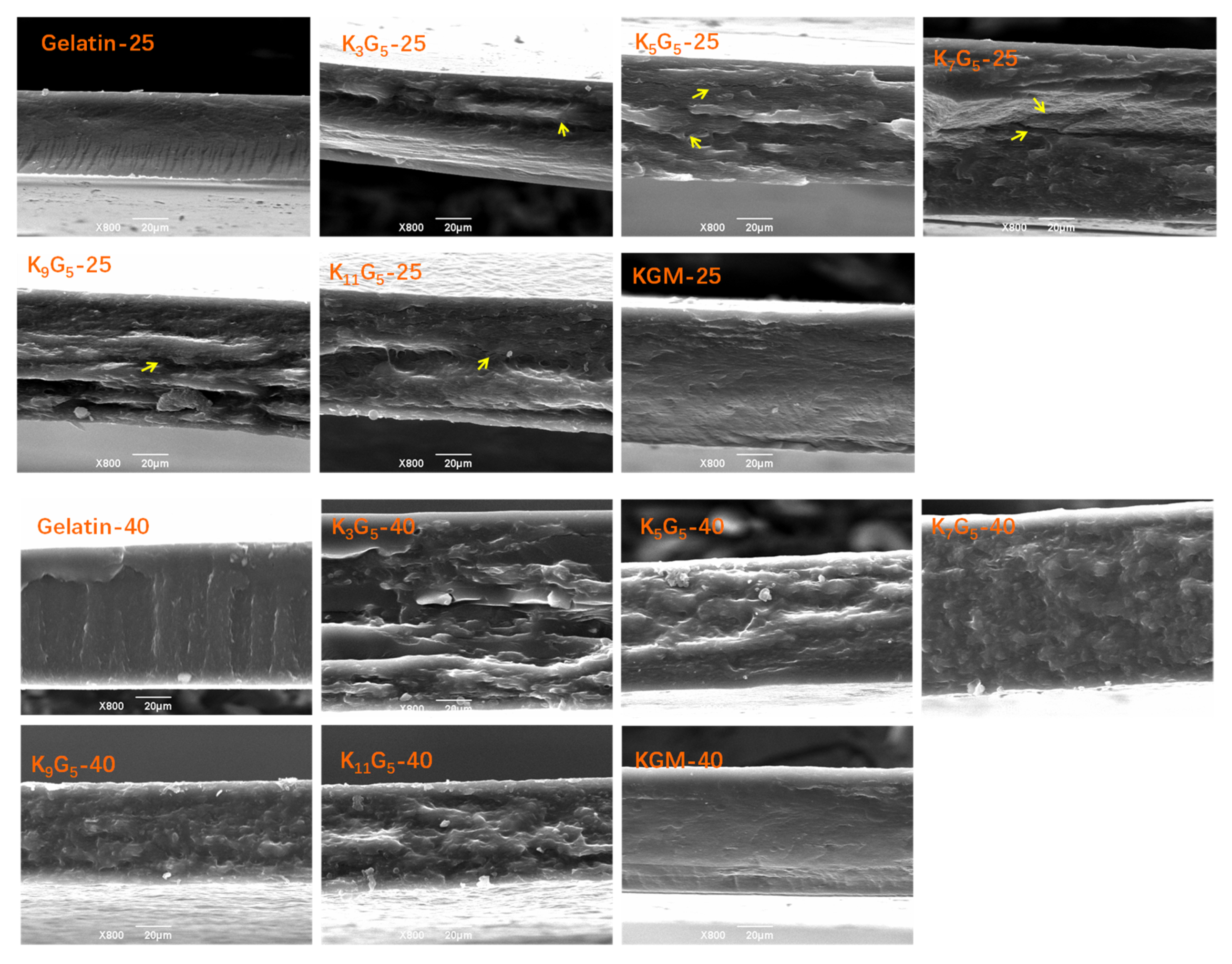 Polymers 12 00385 g001 Polymers 12 00385 g001