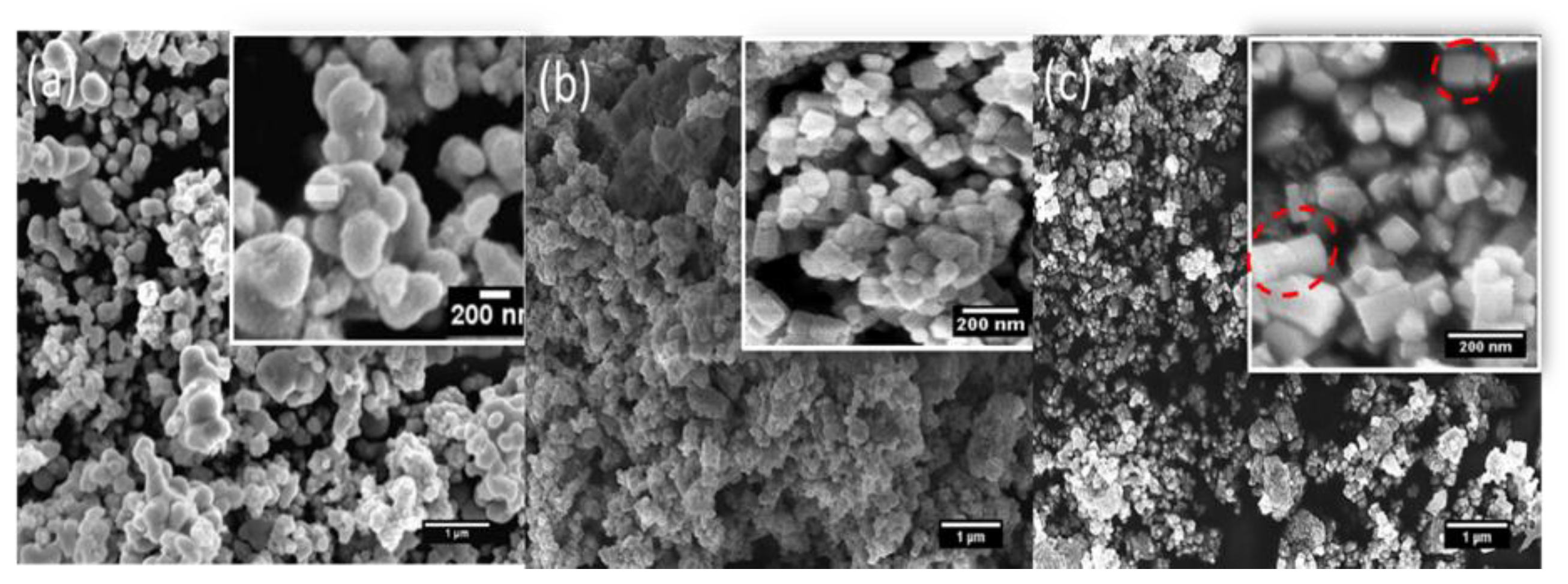 Polymers 12 00394 g002 Polymers 12 00394 g002