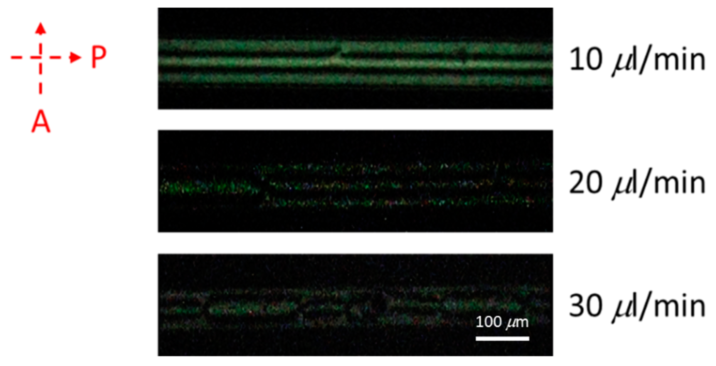 Polymers 12 00395 g007