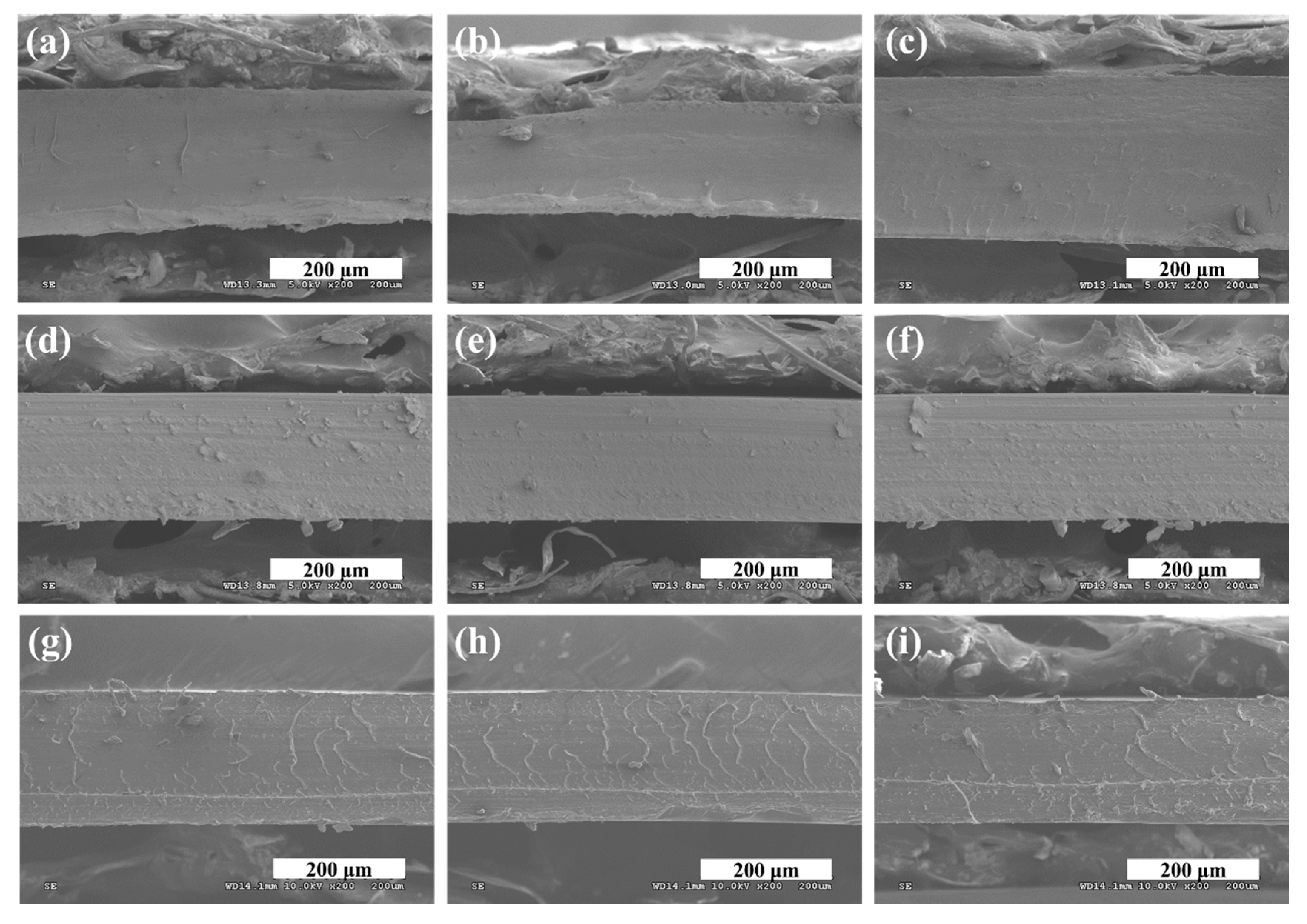 Polymers 12 00396 g003 Polymers 12 00396 g003