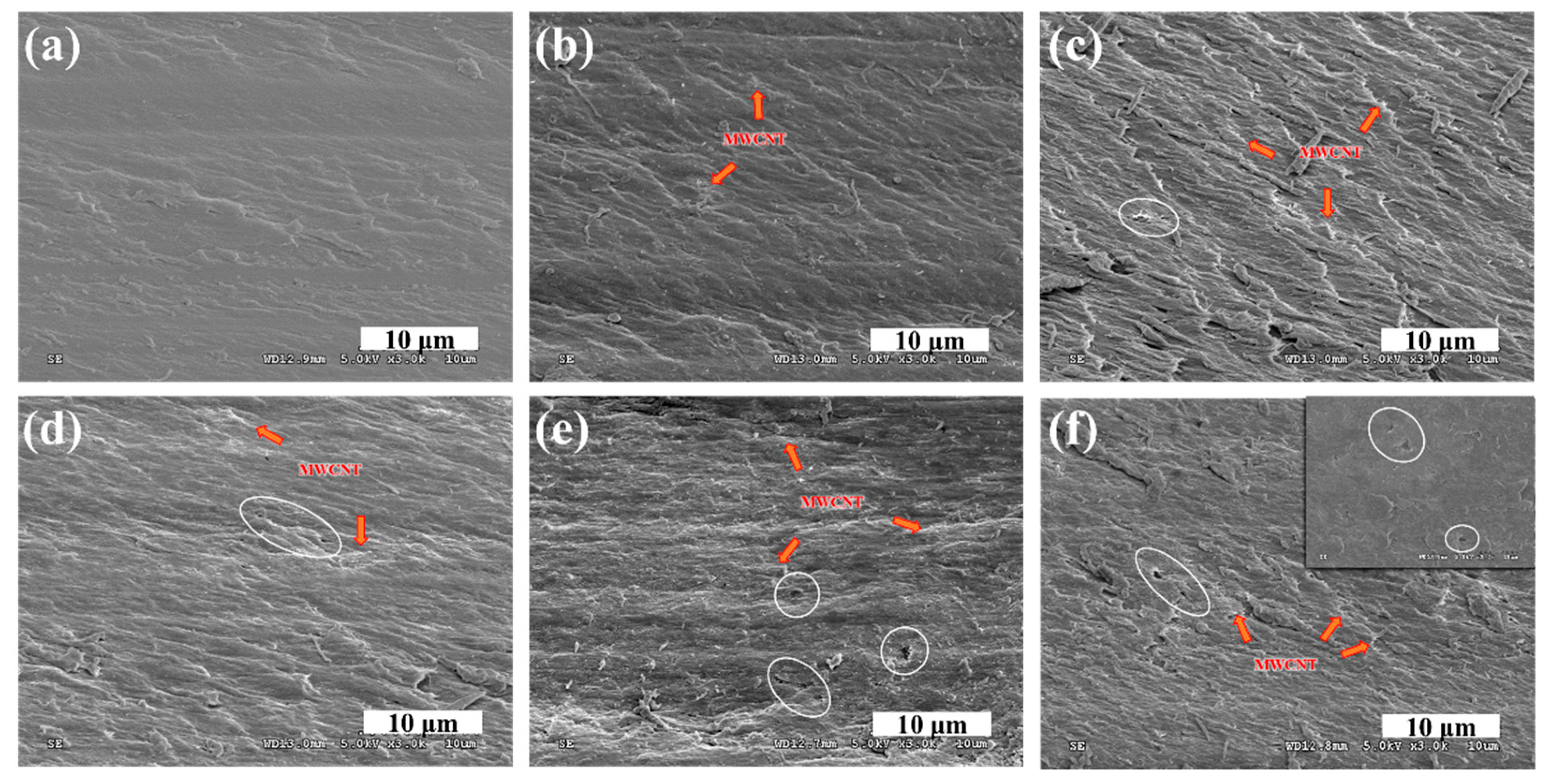 Polymers 12 00396 g005 Polymers 12 00396 g005