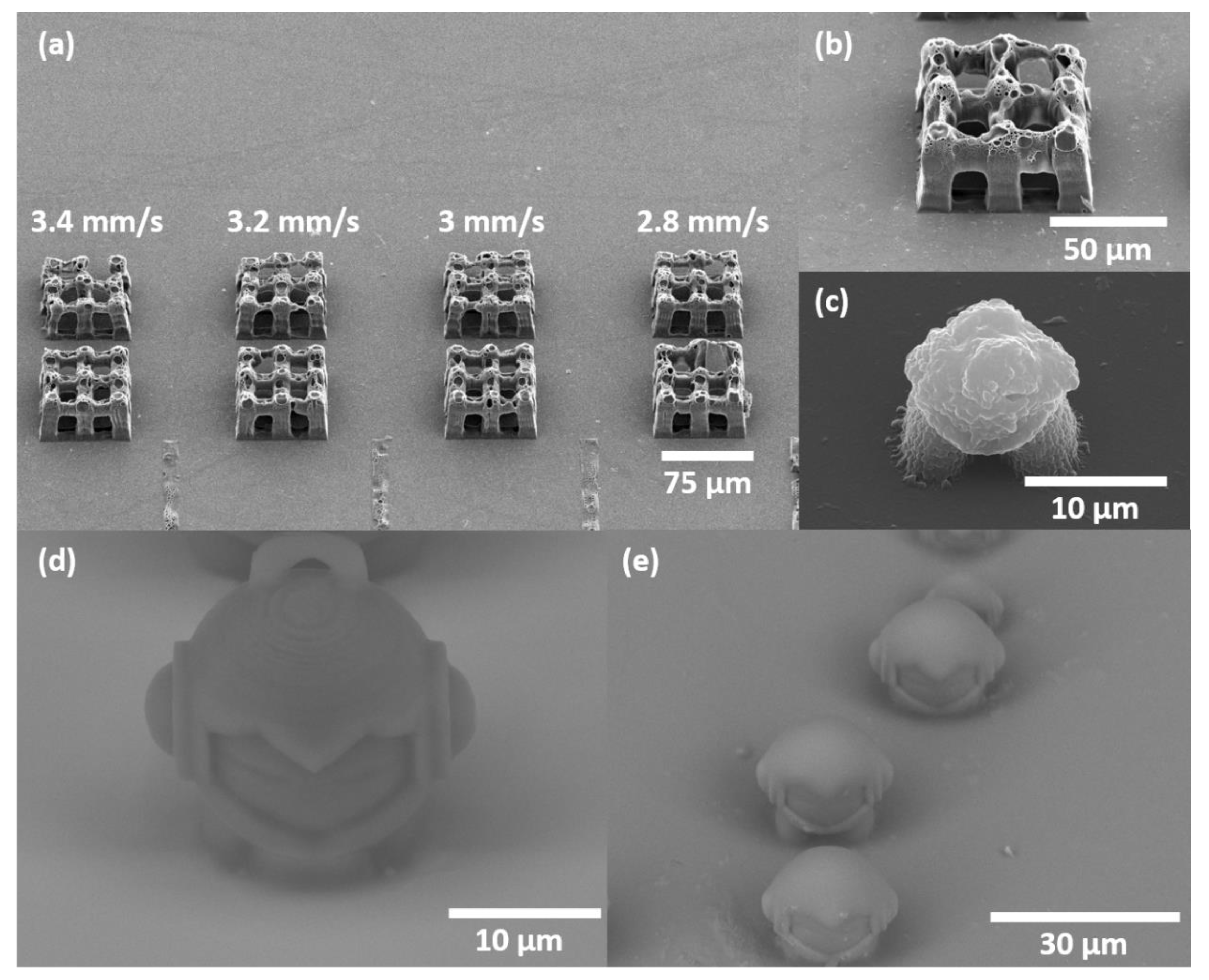 Polymers 12 00397 g009 Polymers 12 00397 g009