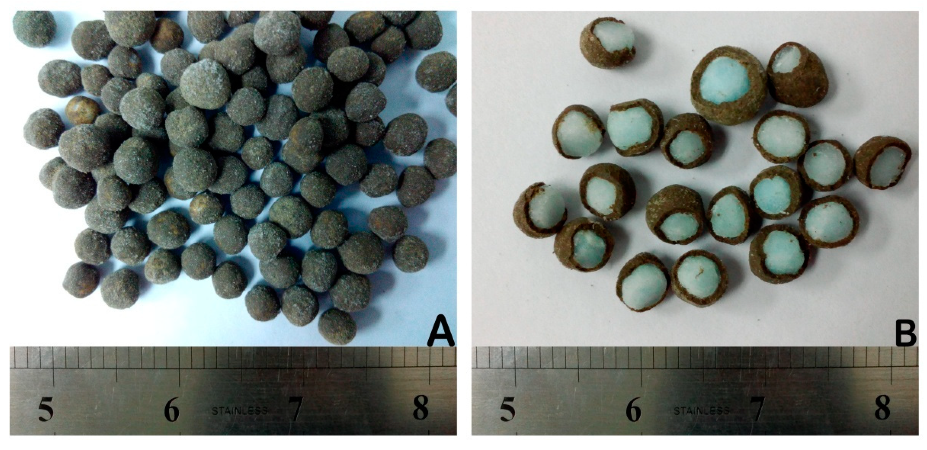 Polymers 12 00400 g014