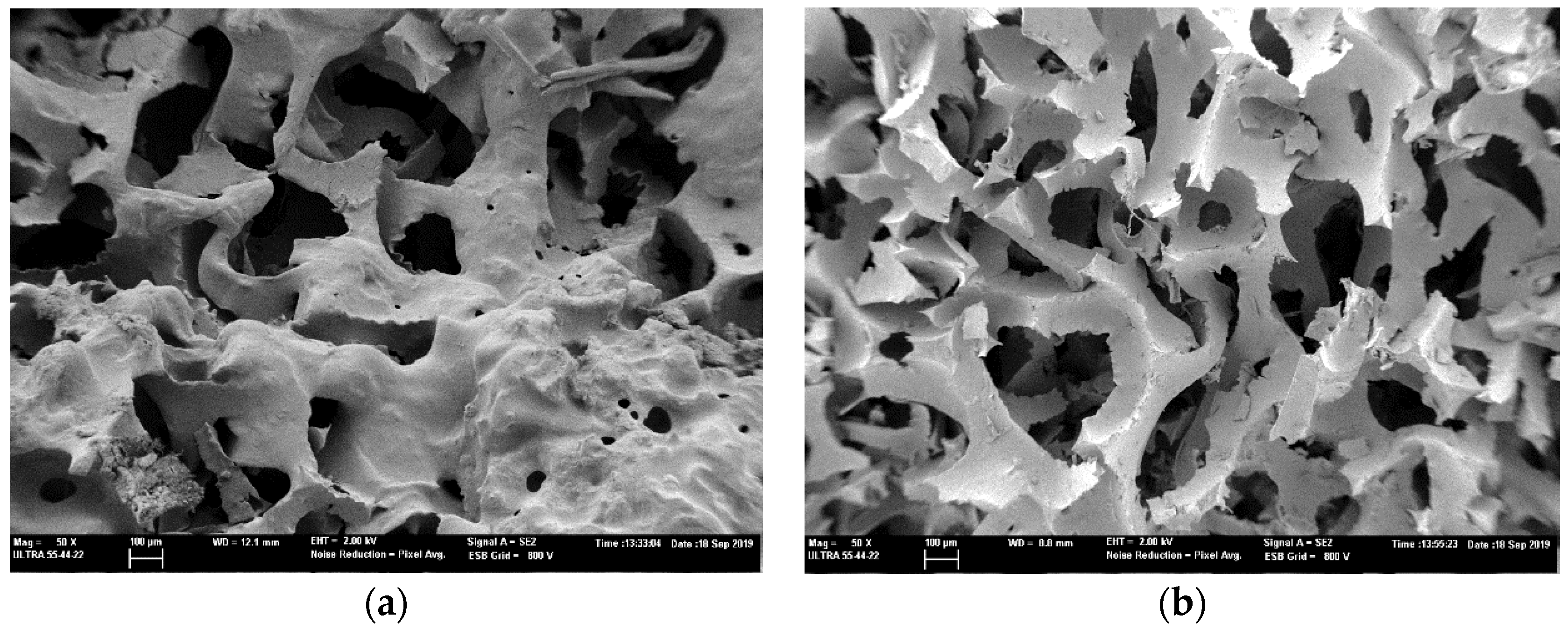 Polymers 12 00401 g004 Polymers 12 00401 g004