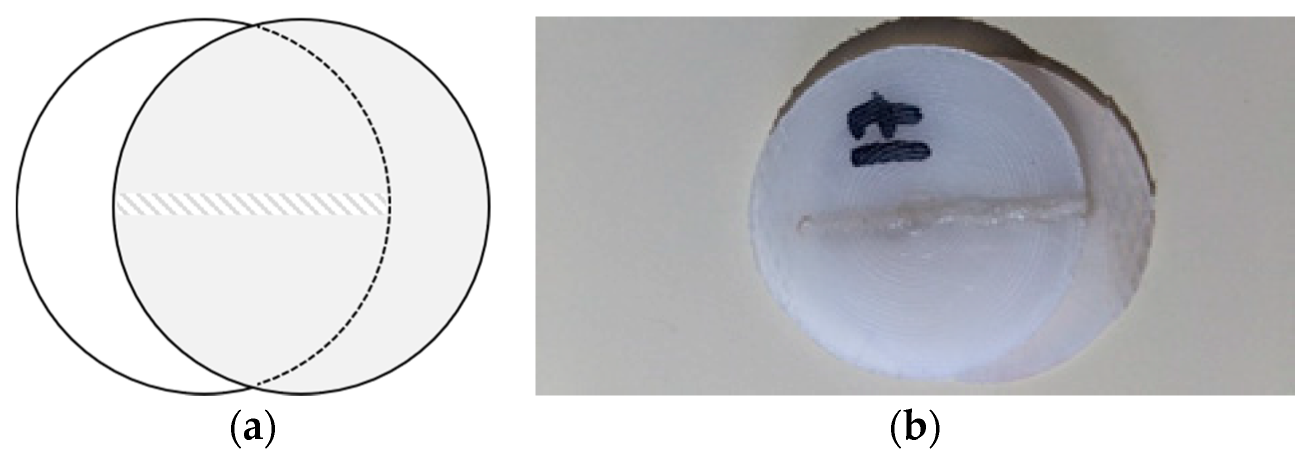 Polymers 12 00402 g001 Polymers 12 00402 g001