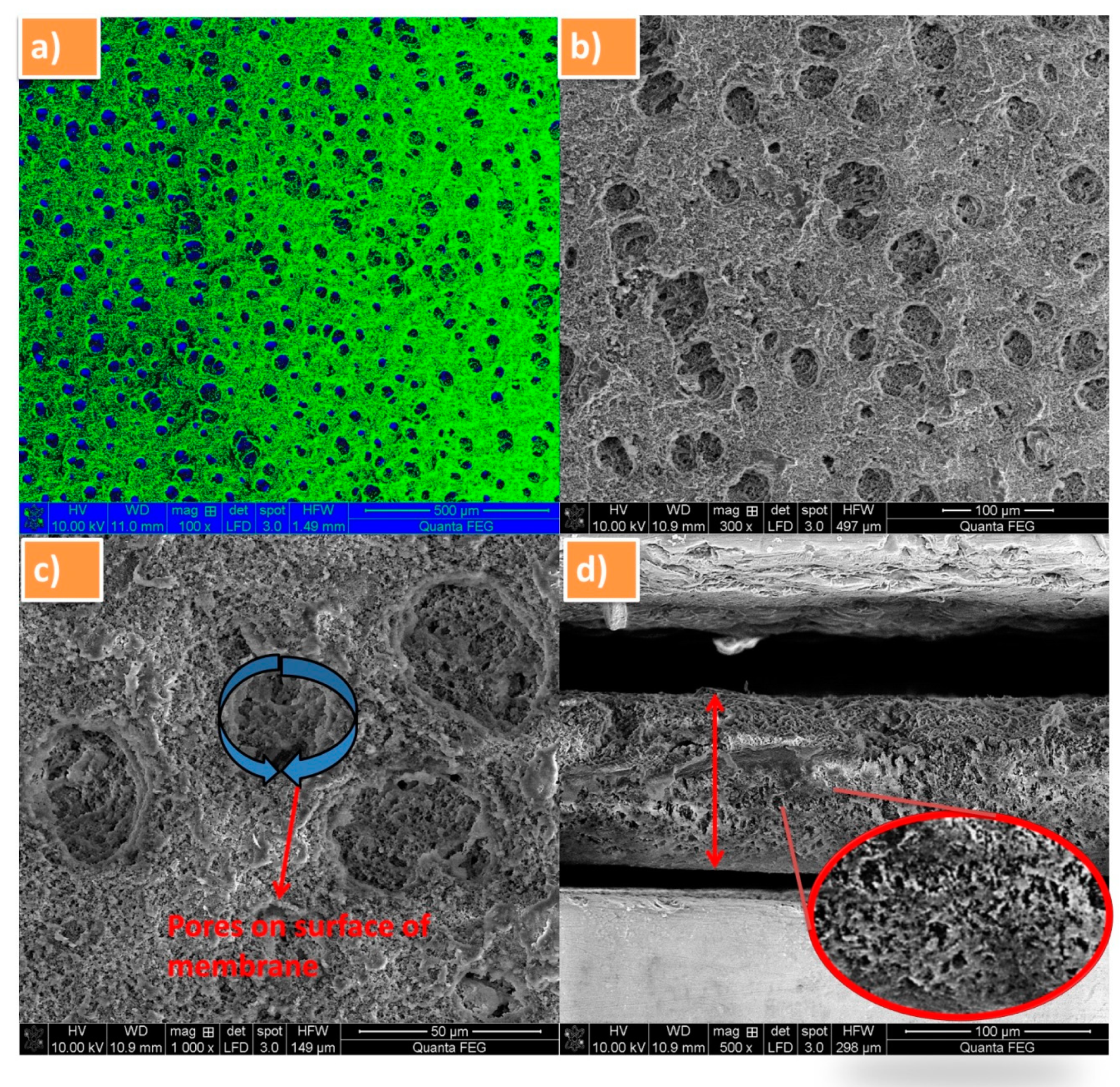 Polymers 12 00405 g003 Polymers 12 00405 g003