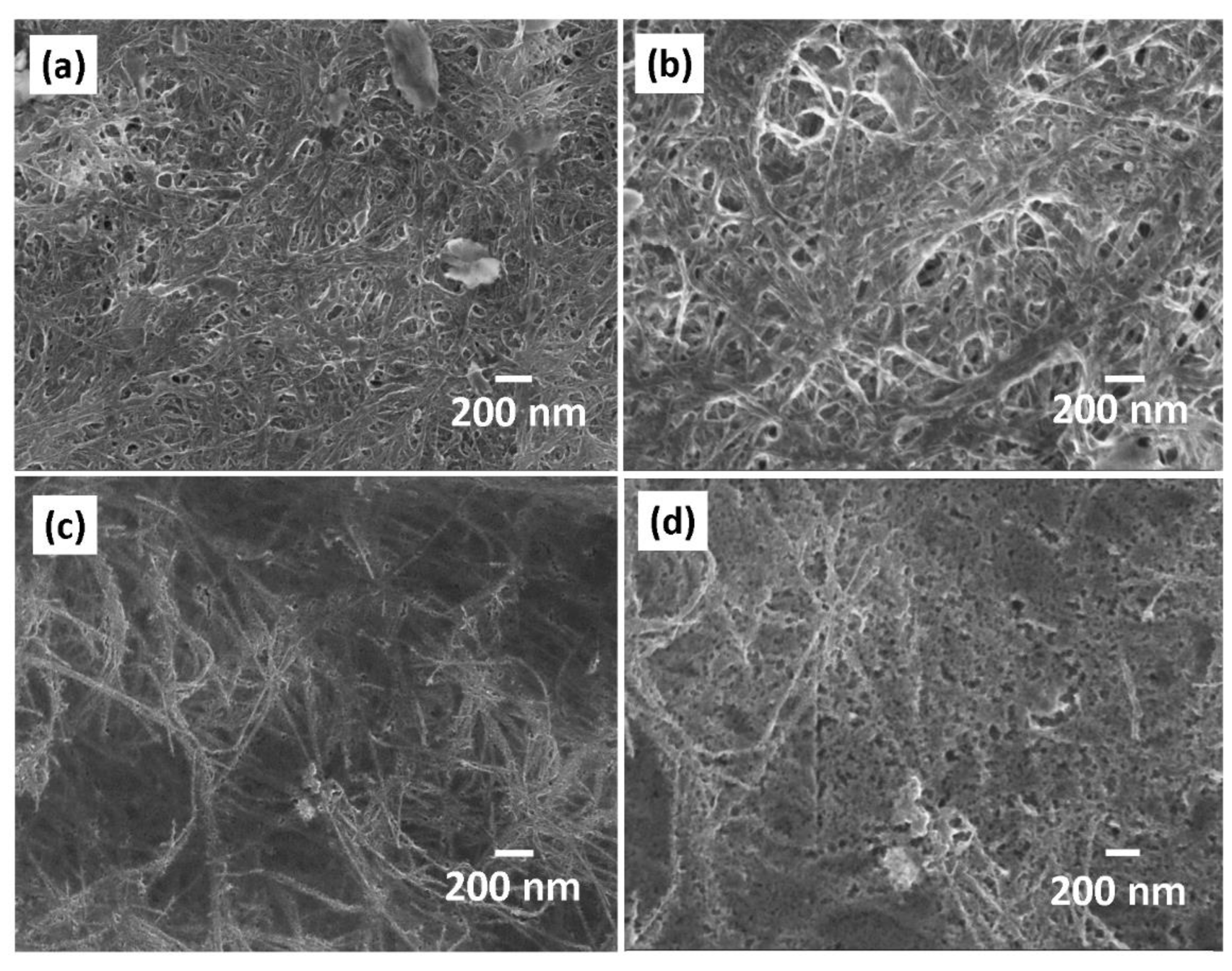 Polymers 12 00406 g005 Polymers 12 00406 g005