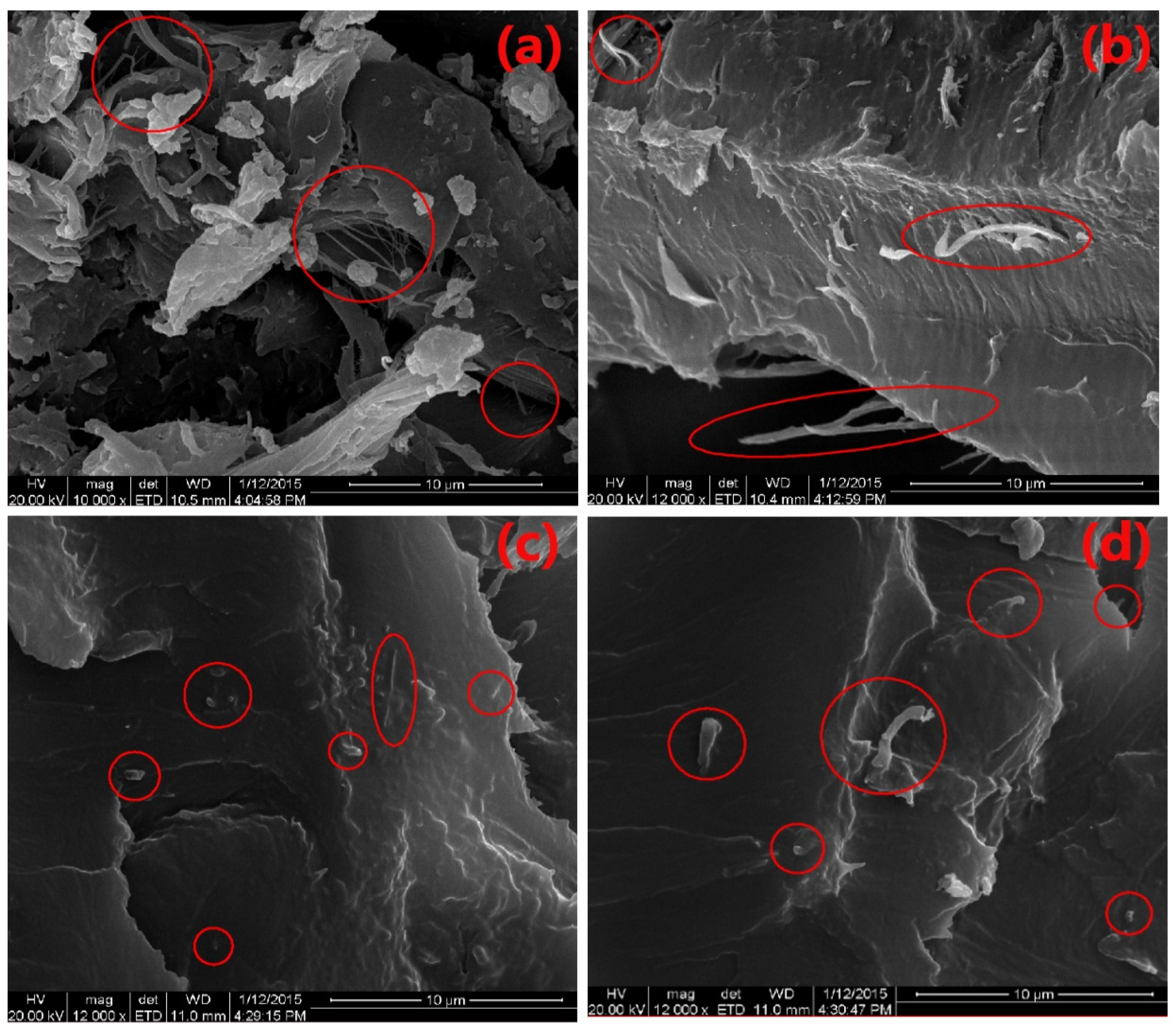 Polymers 12 00407 g003 Polymers 12 00407 g003
