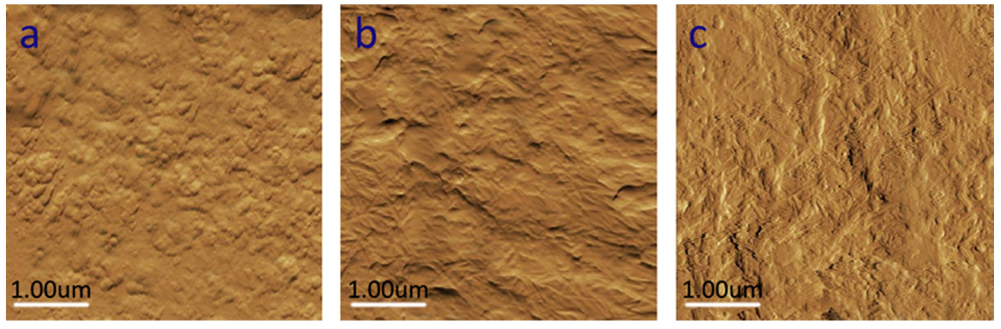 Polymers 12 00407 g004 Polymers 12 00407 g004