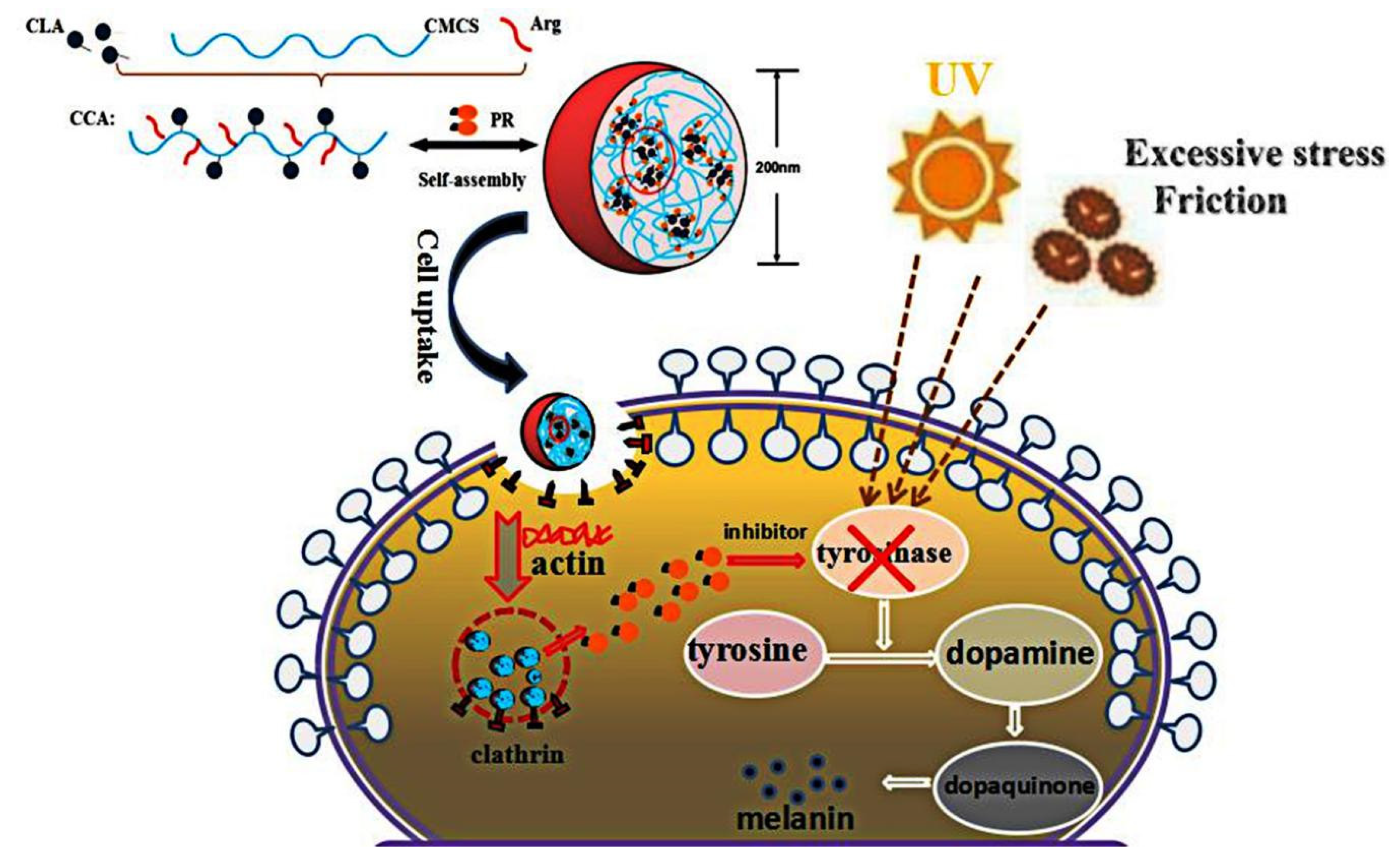 Polymers 12 00408 g007 Polymers 12 00408 g007