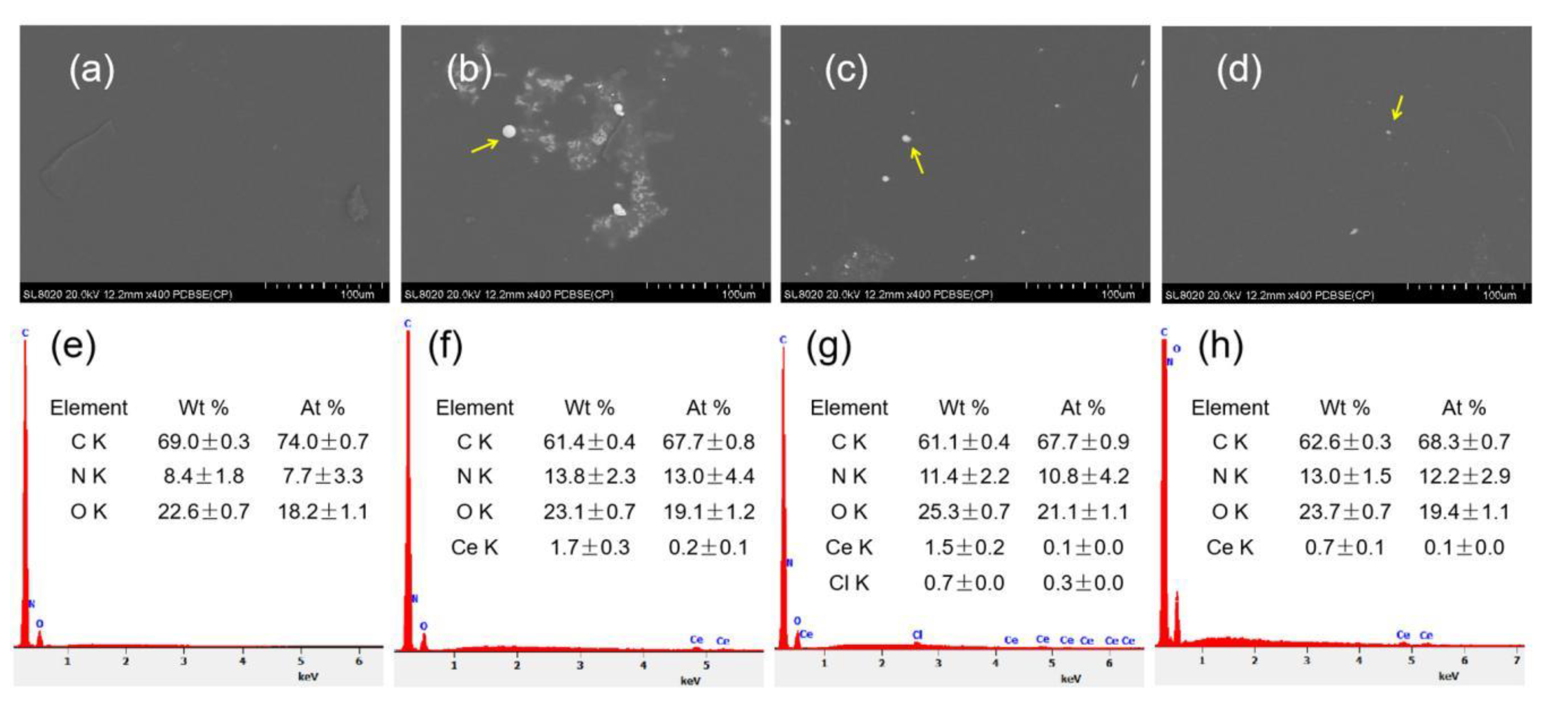 Polymers 12 00415 g008