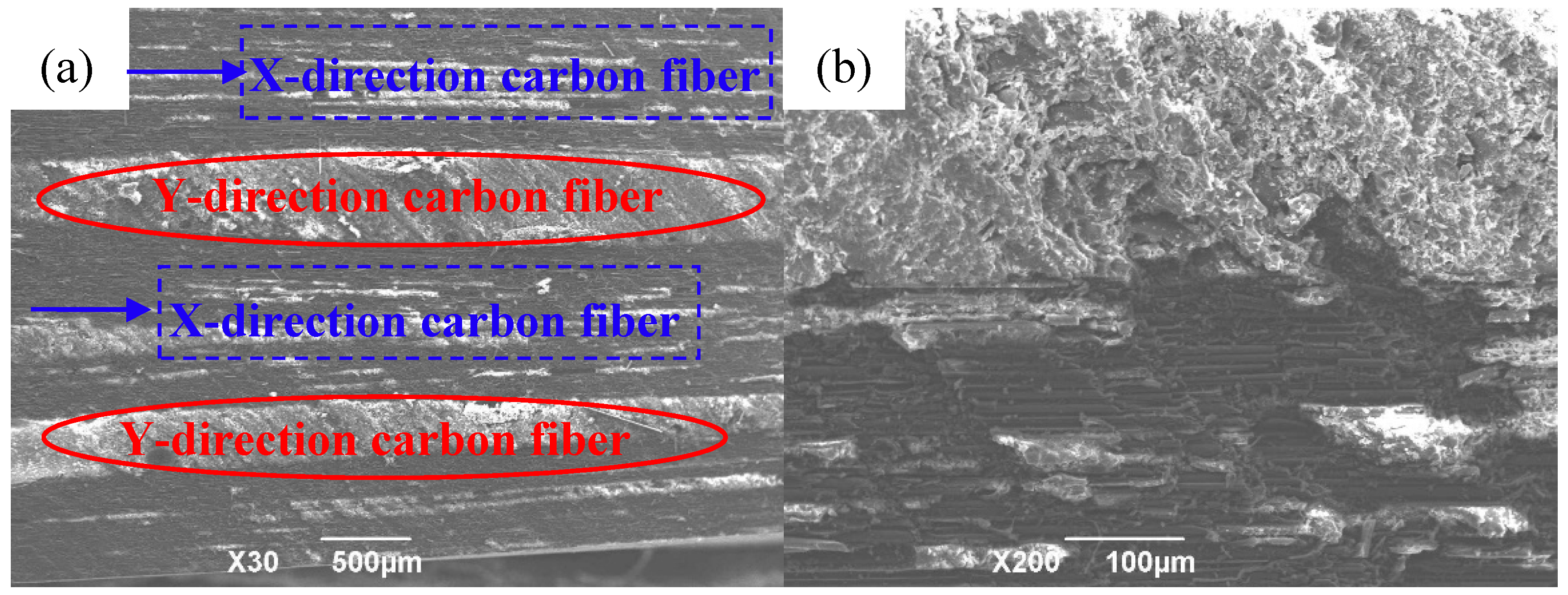 Polymers 12 00419 g009 Polymers 12 00419 g009