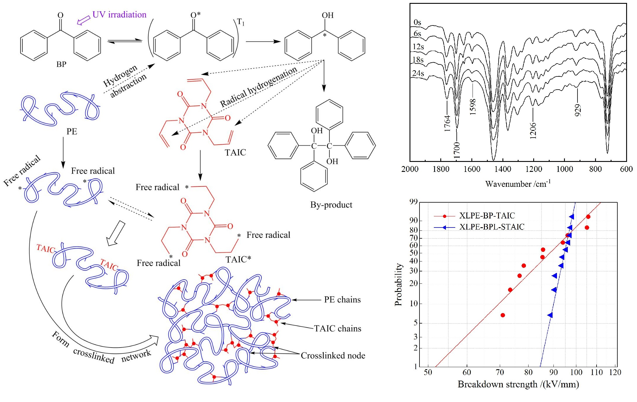 Polymers Free FullText UVInitiated Crosslinking Reaction