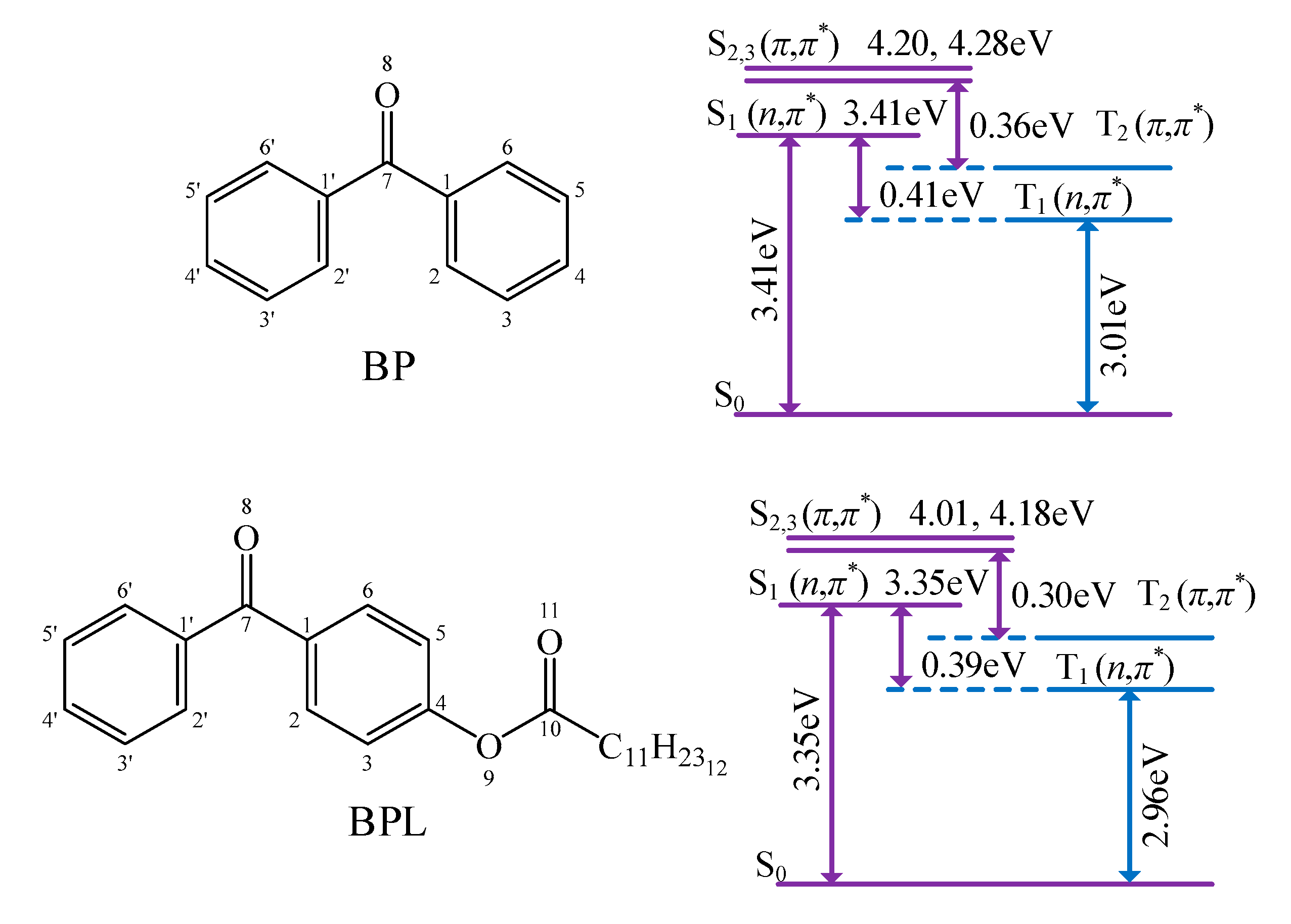 Polymers 12 00420 g002