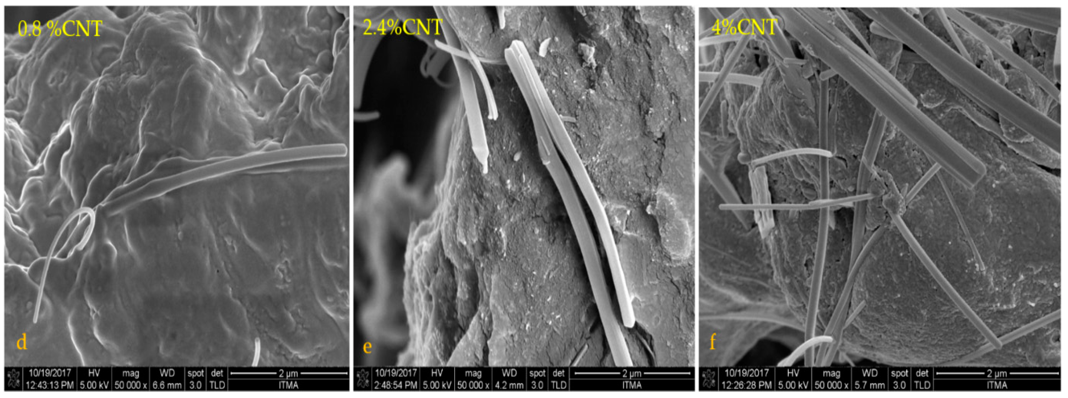Polymers 12 00427 g005b Polymers 12 00427 g005b