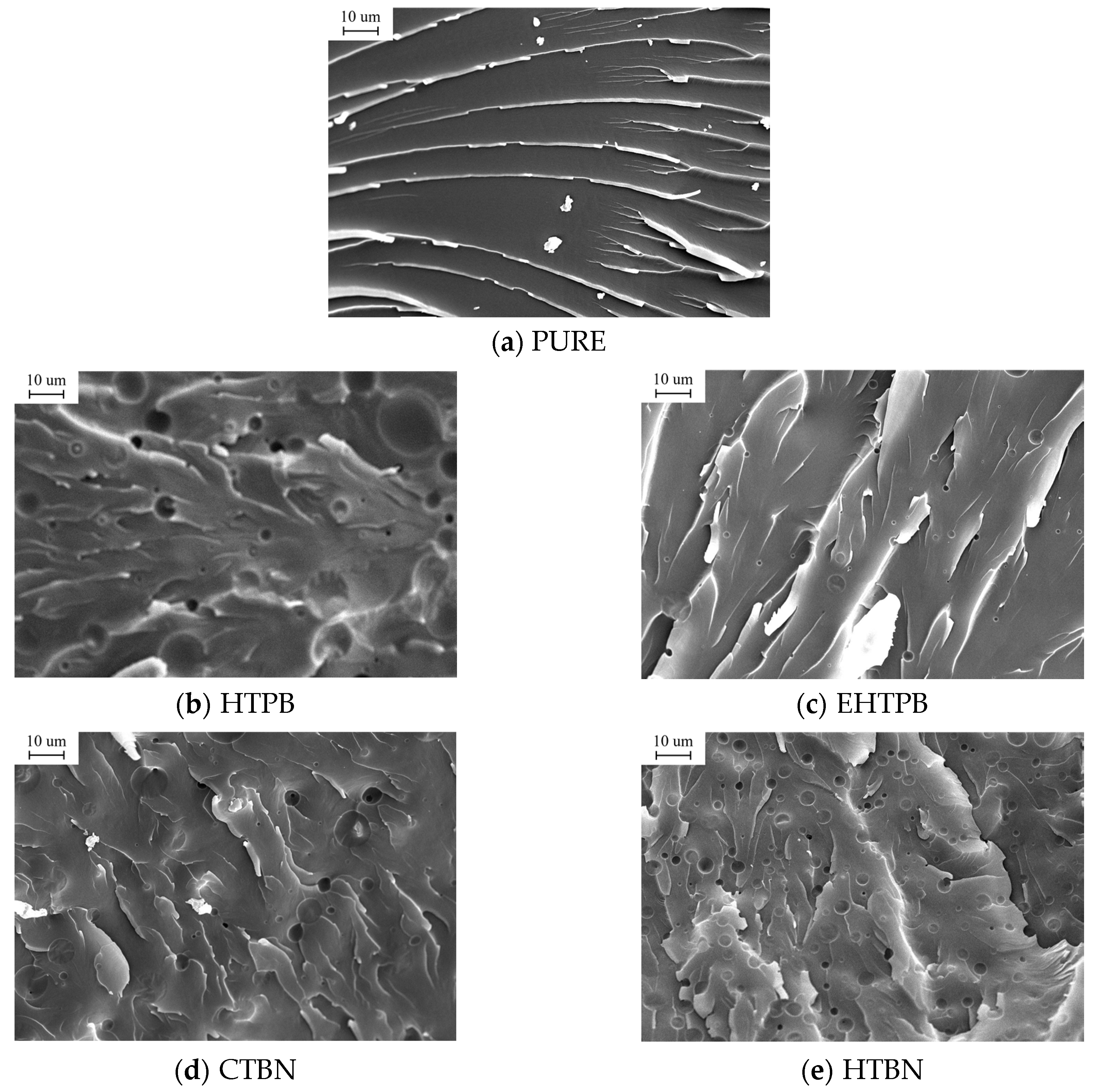 Polymers 12 00433 g003 Polymers 12 00433 g003