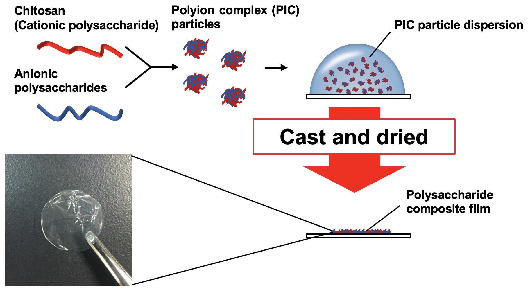 polymers free full text fabrication and chemical properties of water