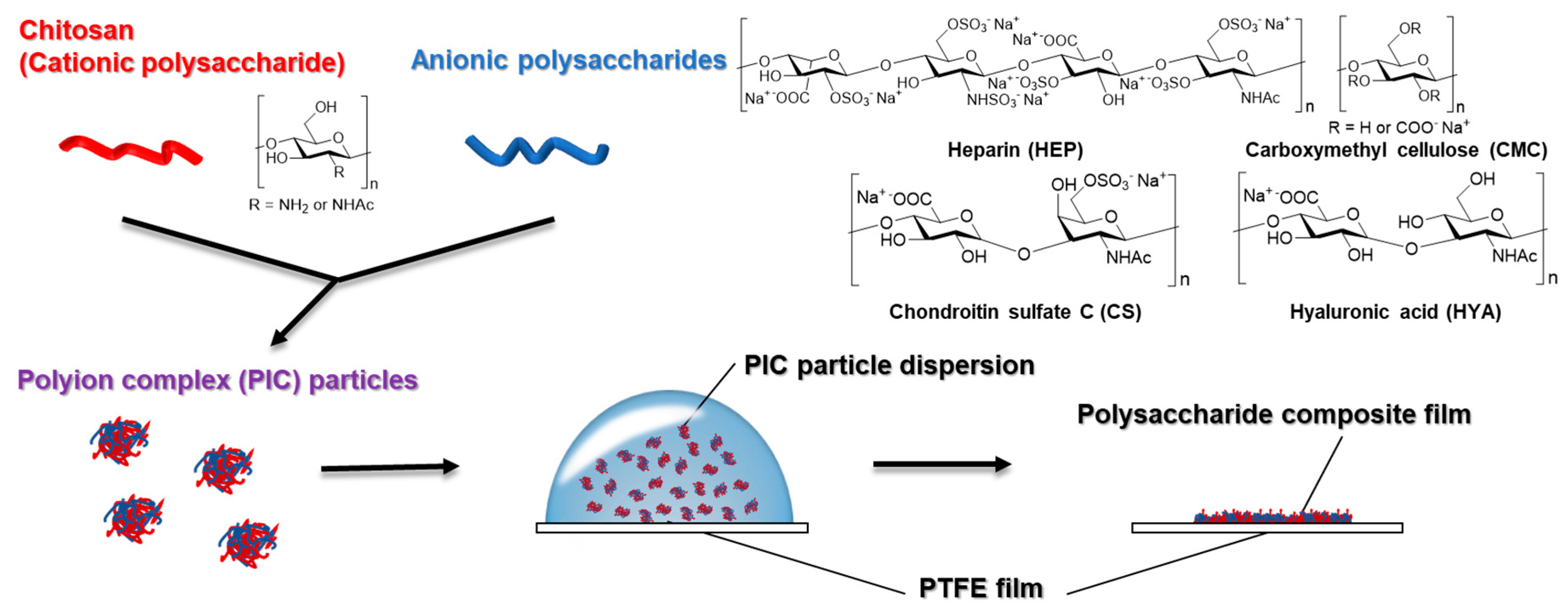 Polymers 12 00435 g001