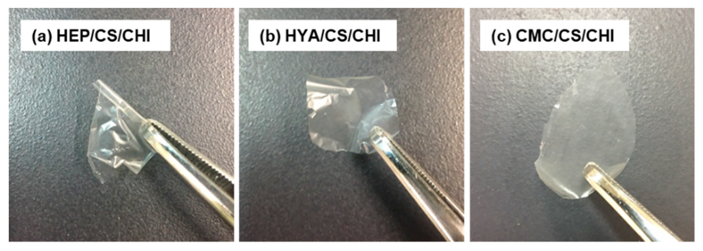 Polymers 12 00435 g007