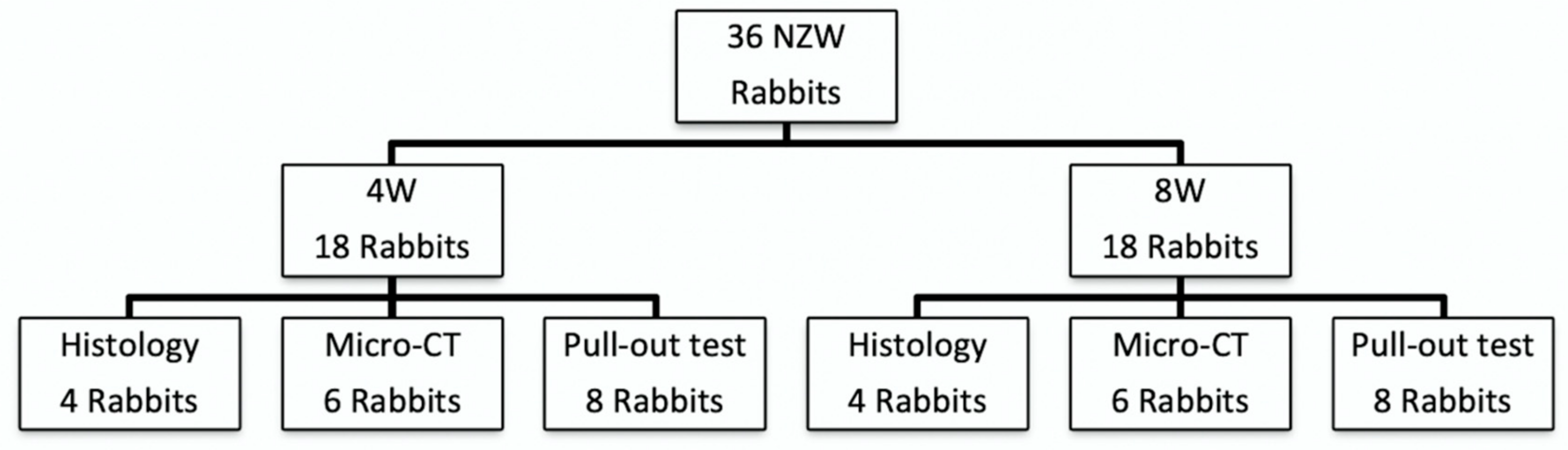 Polymers 12 00436 g001 Polymers 12 00436 g001