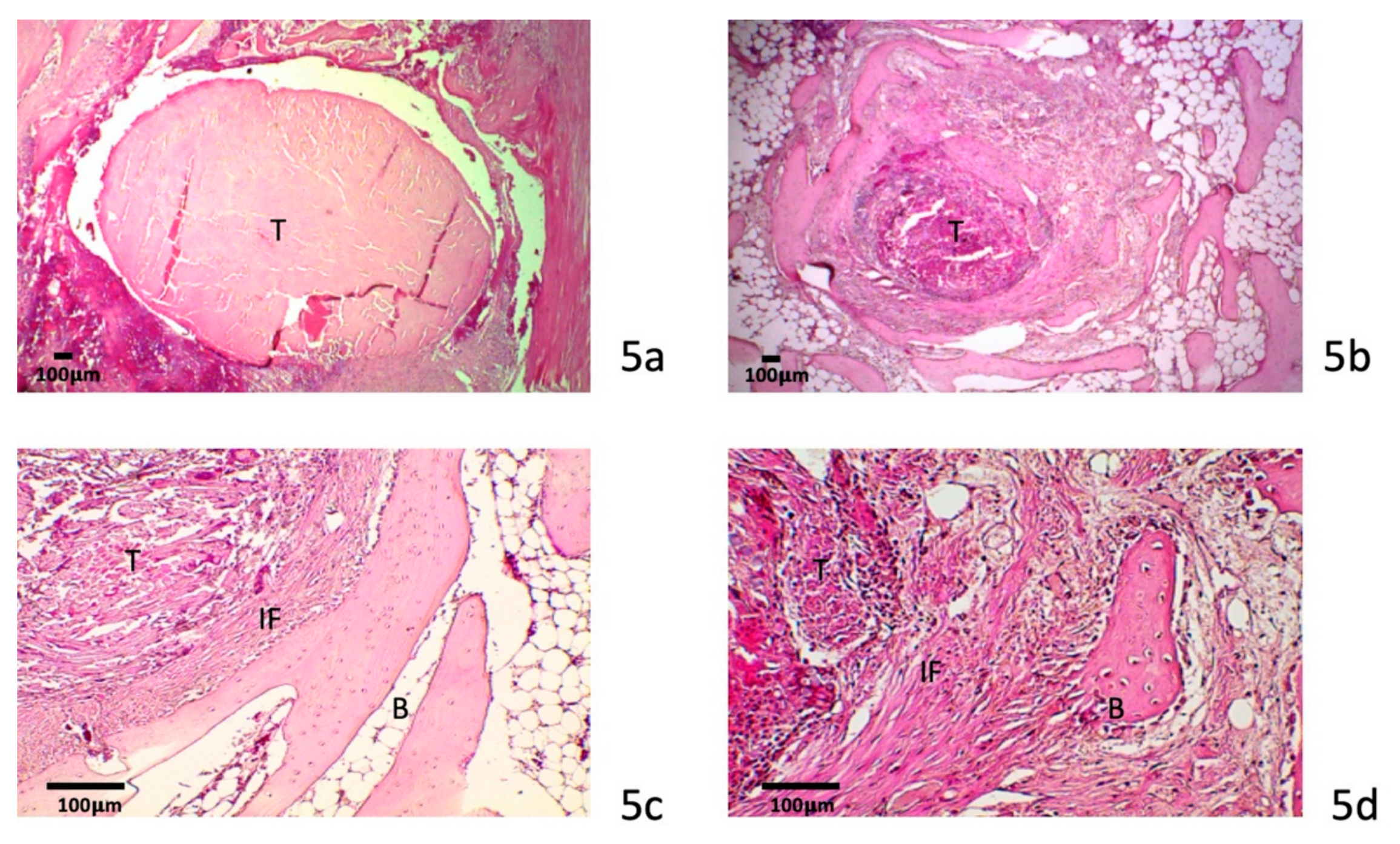 Polymers 12 00436 g005 Polymers 12 00436 g005
