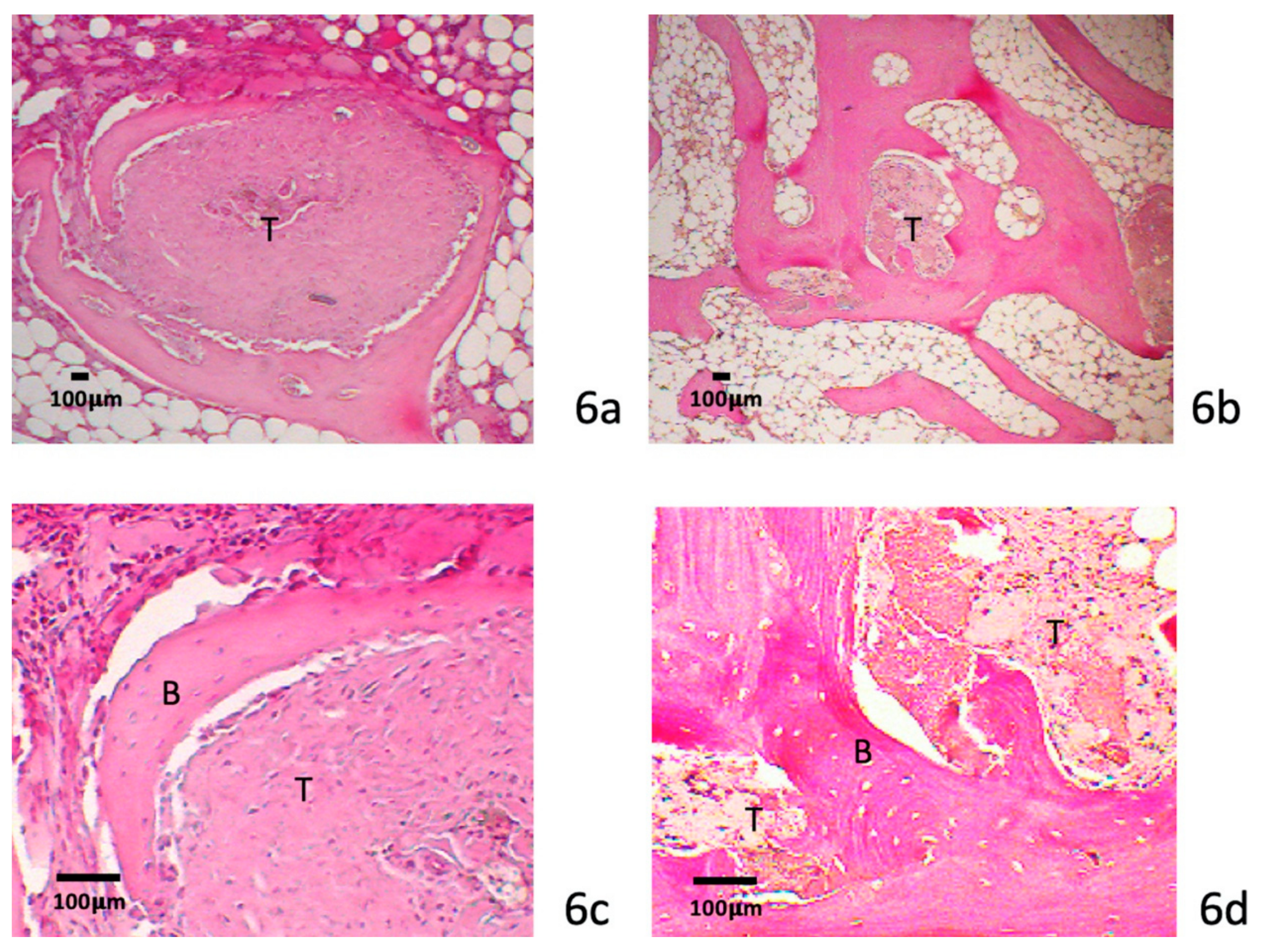 Polymers 12 00436 g006 Polymers 12 00436 g006