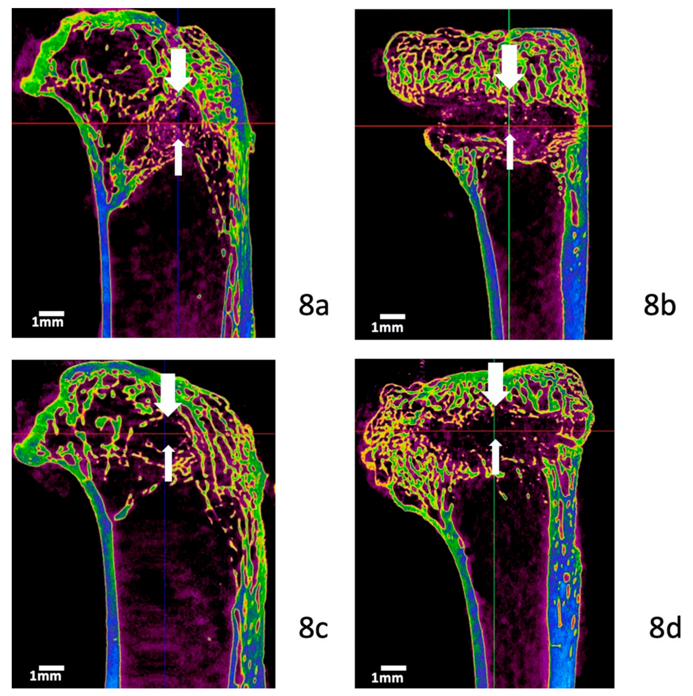 Polymers 12 00436 g008 Polymers 12 00436 g008