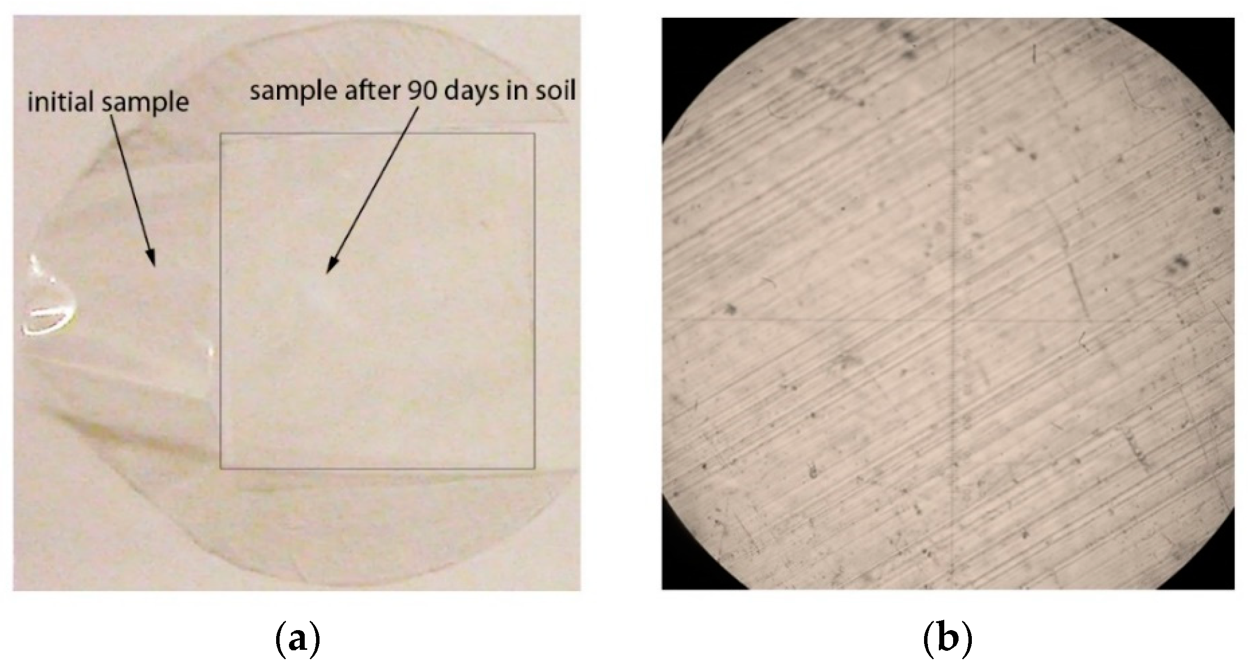 Polymers 12 00437 g007