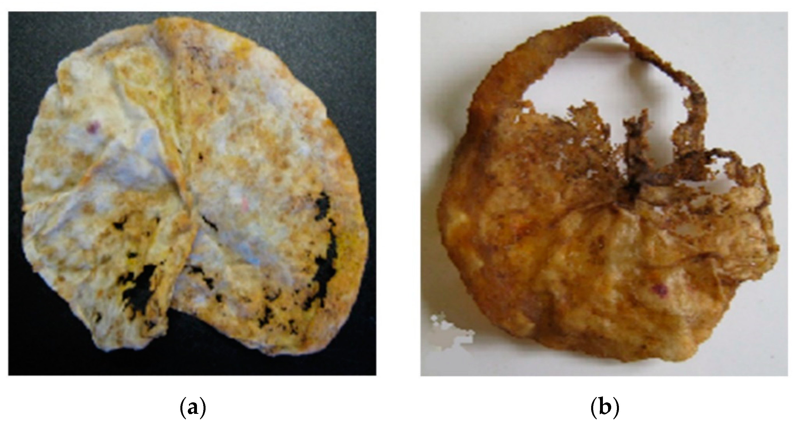 Polymers 12 00437 g008