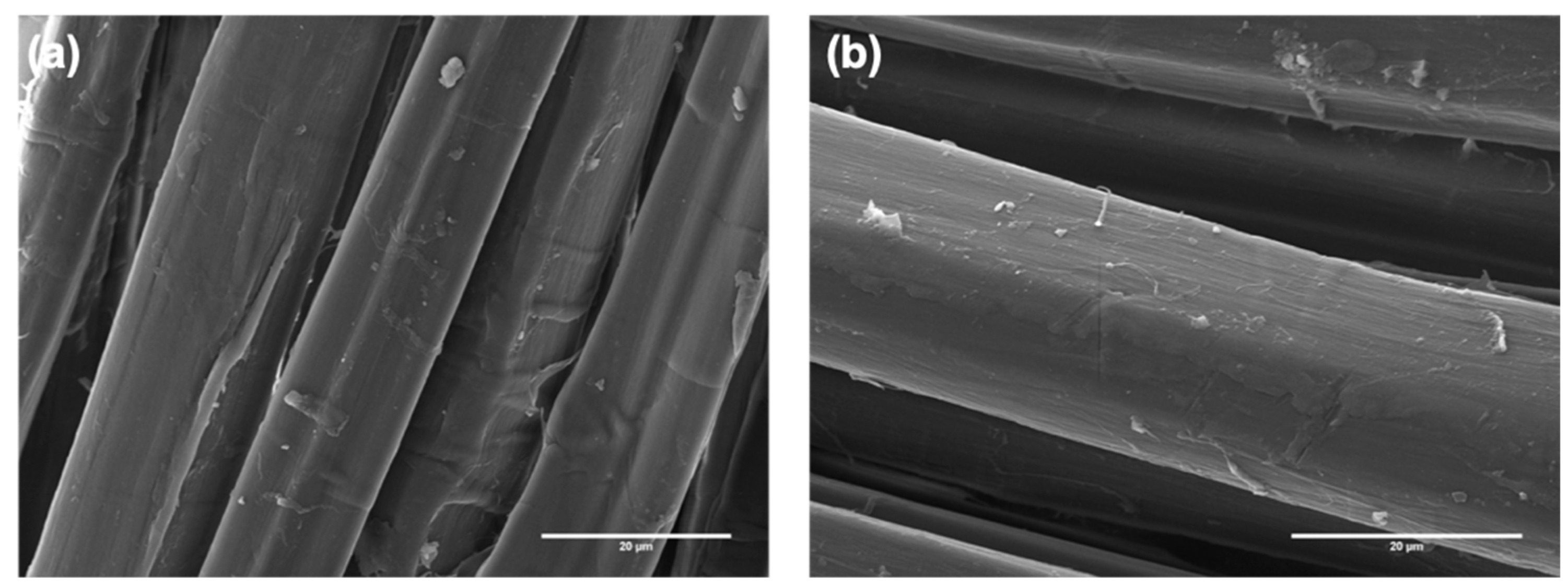 Polymers 12 00438 g001 Polymers 12 00438 g001