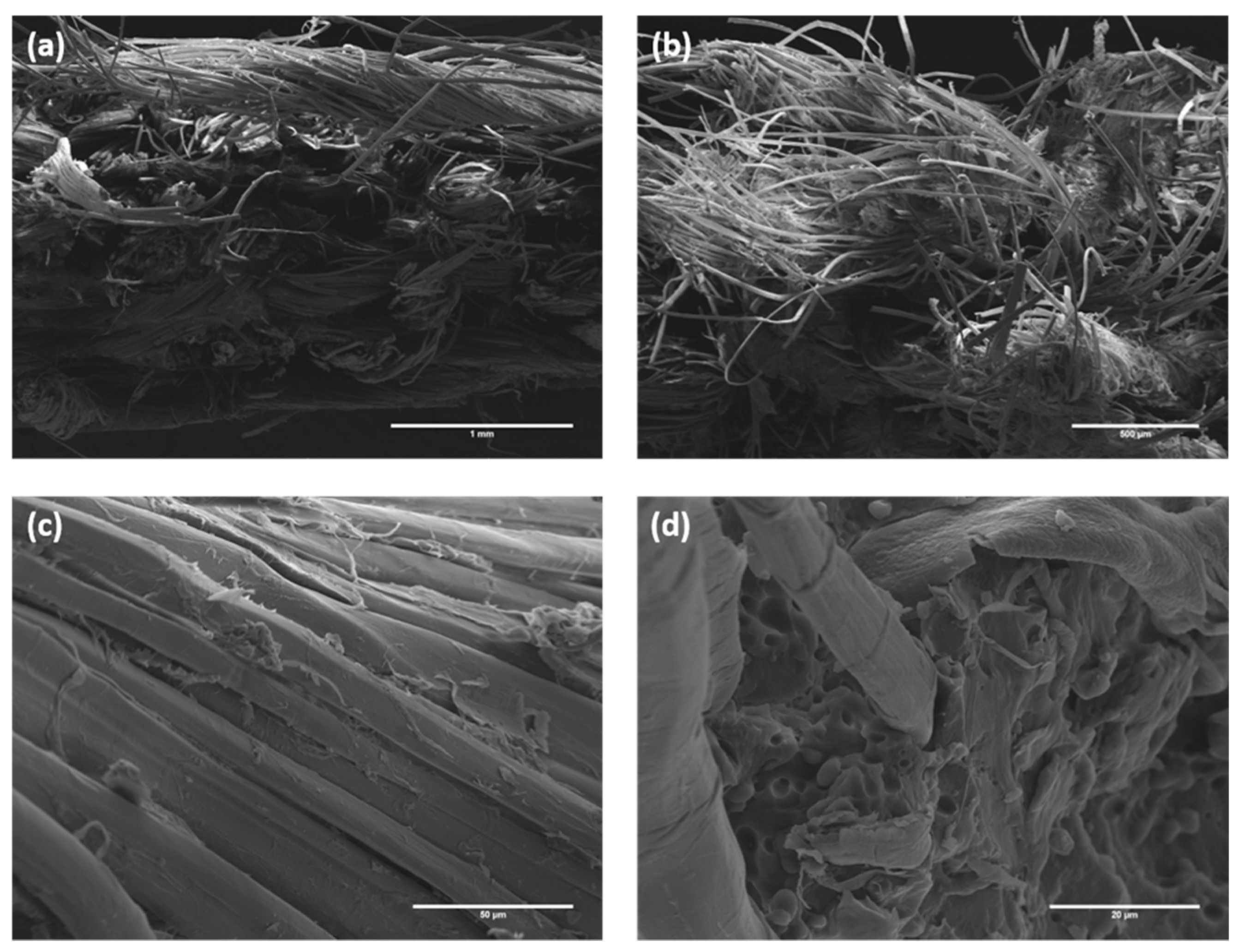 Polymers 12 00438 g005 Polymers 12 00438 g005